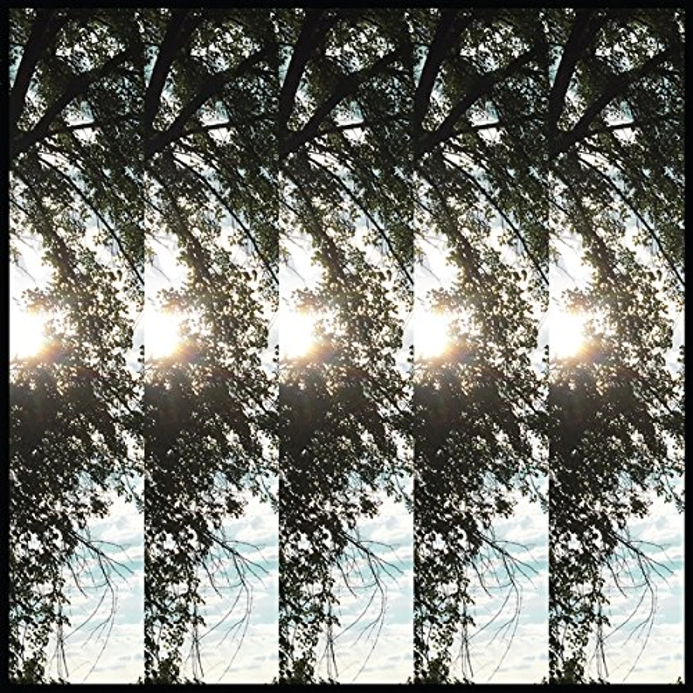 Pontiak Dialectic of Ignorance Vinyl Record