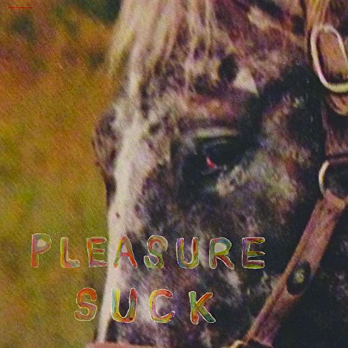 SPIRIT OF THE BEEHIVE PLEASURE SUCK CD