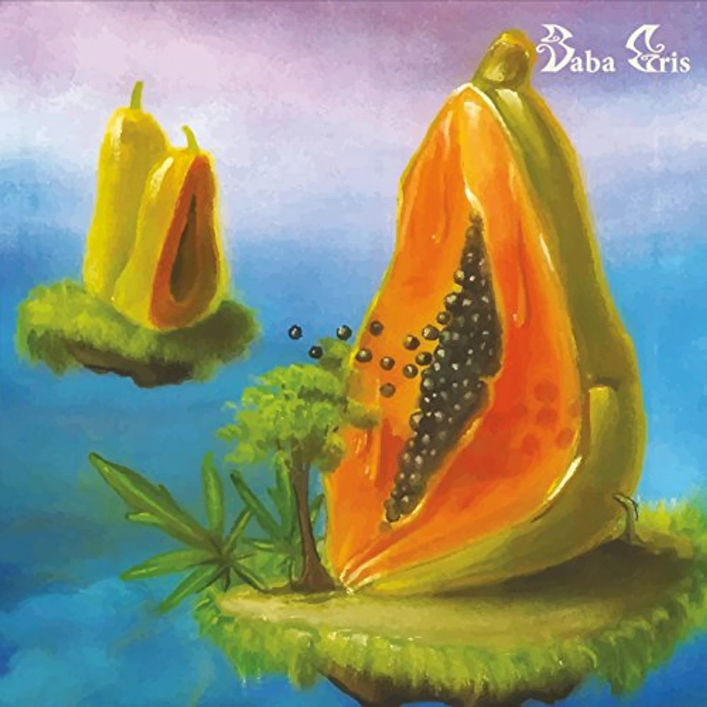 Baba Gris BHAVA CD