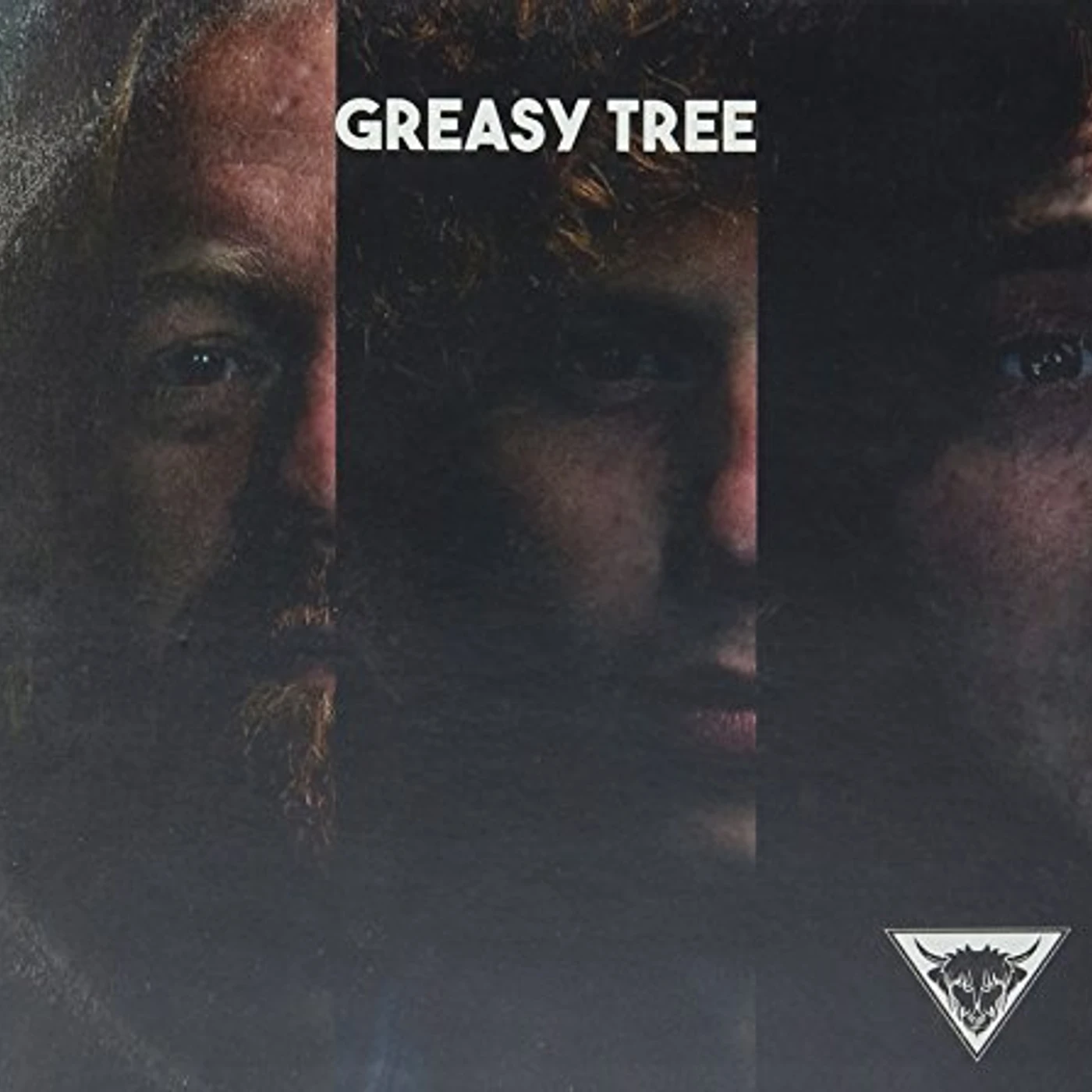 GREASY TREE CD