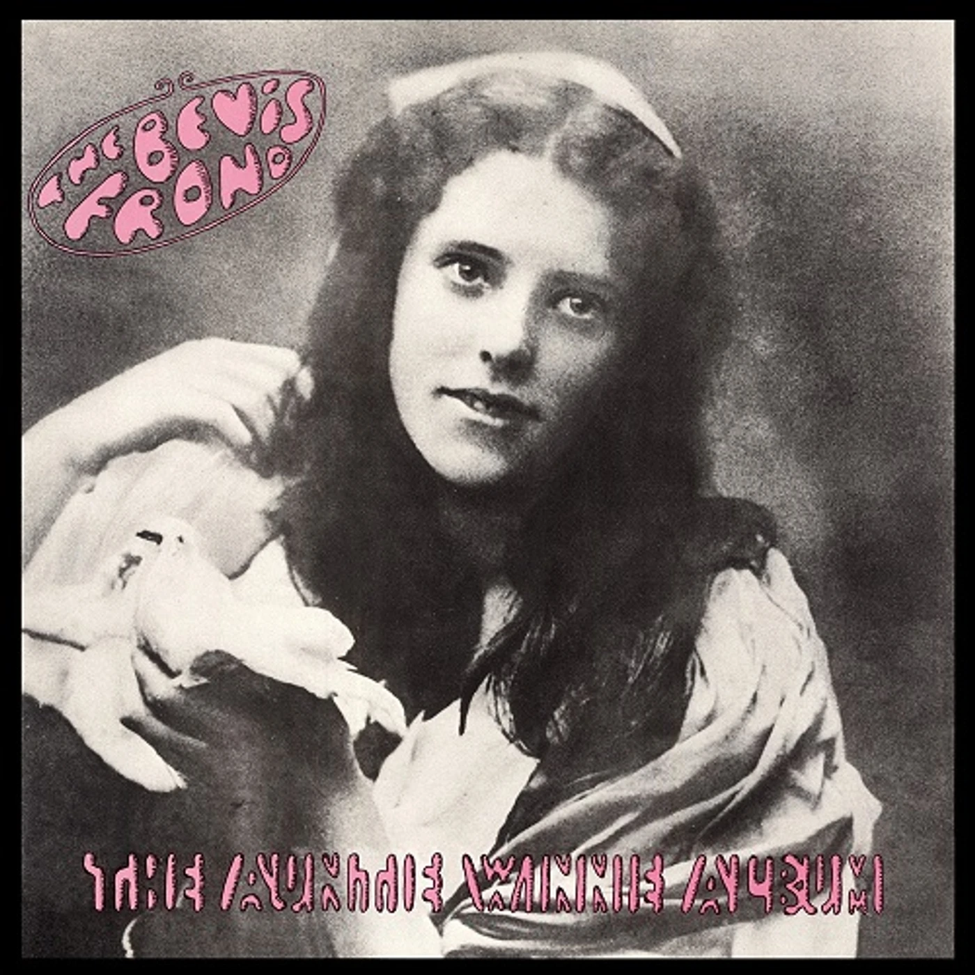 The Bevis Frond AUNTIE WINNIE ALBUM Vinyl Record