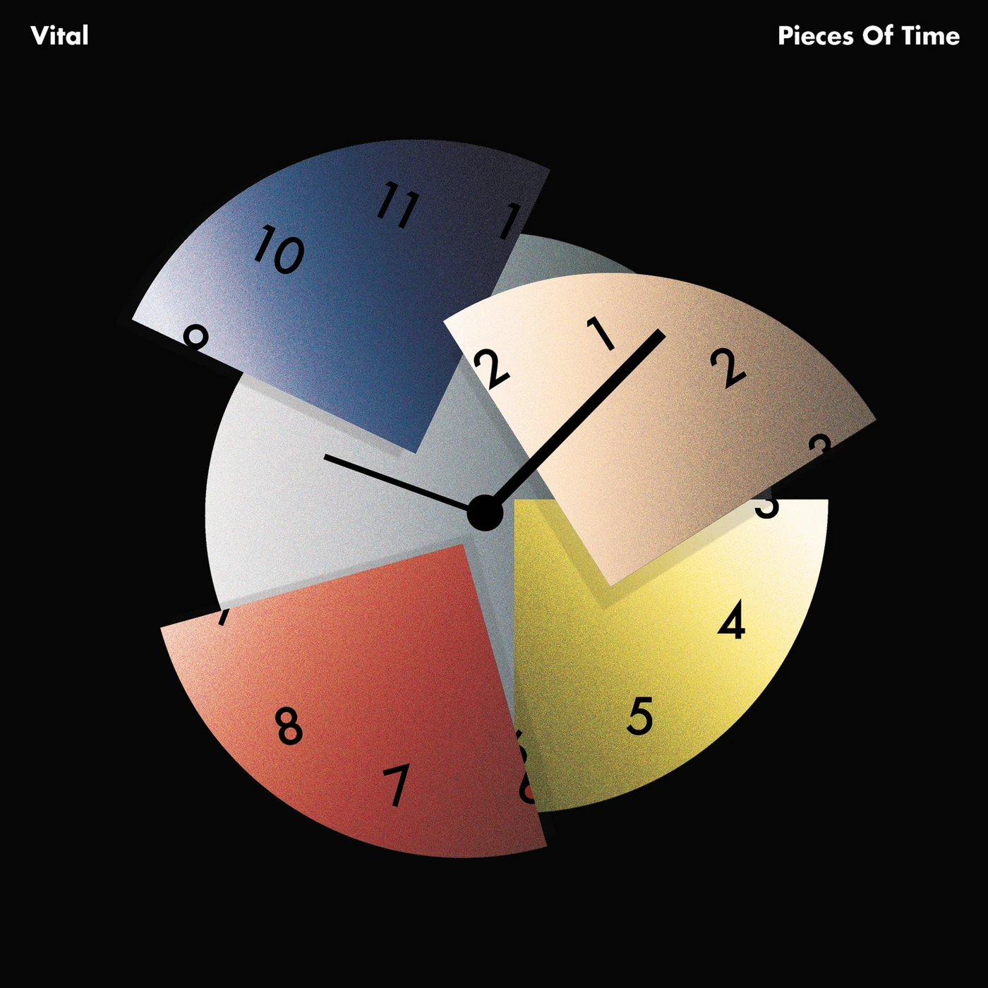 Vital Pieces of Time Vinyl Record