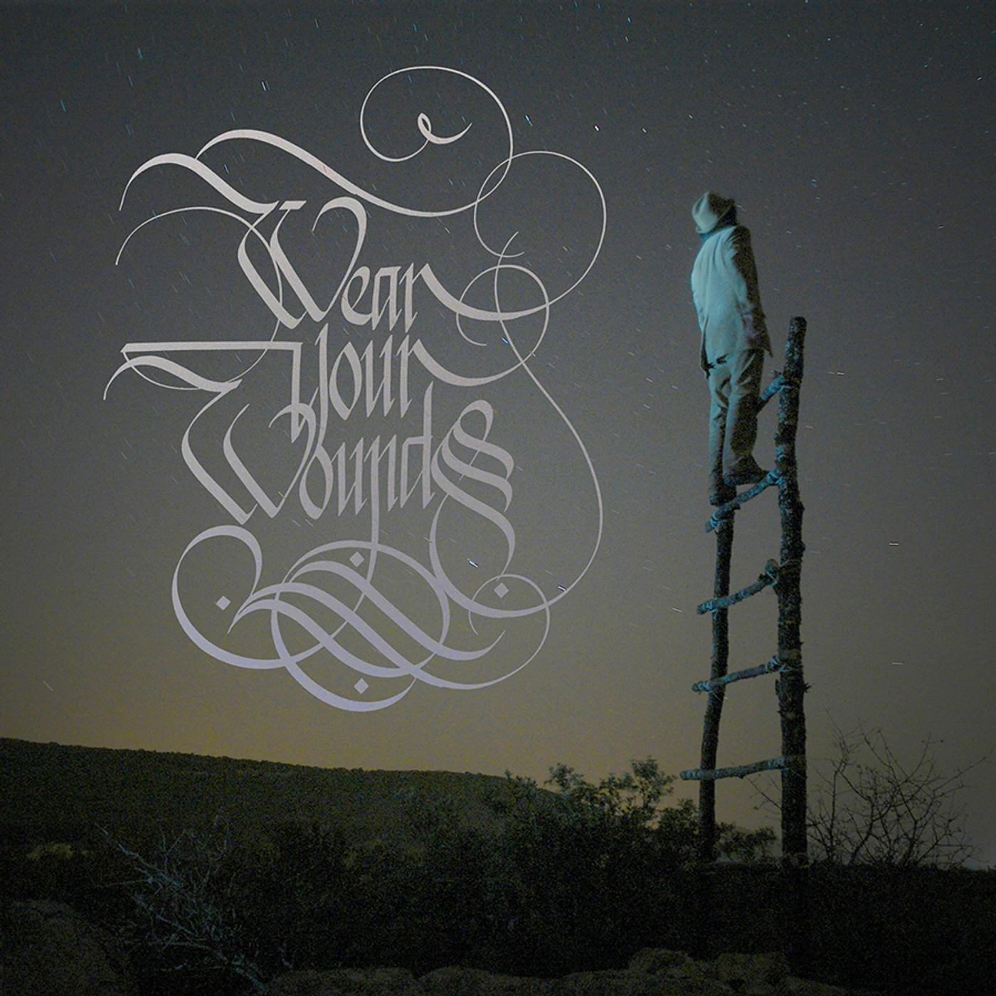 Wear Your Wounds WYW CD