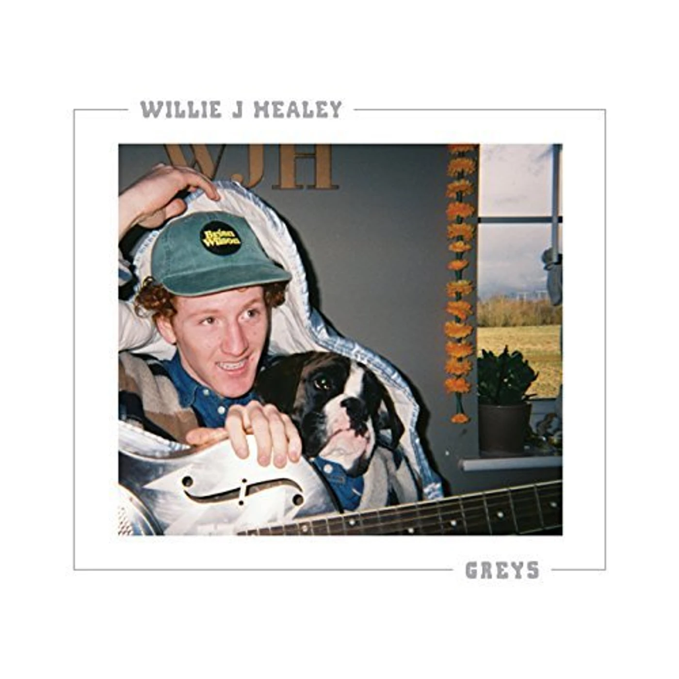 Willie J Healey GREYS Vinyl Record
