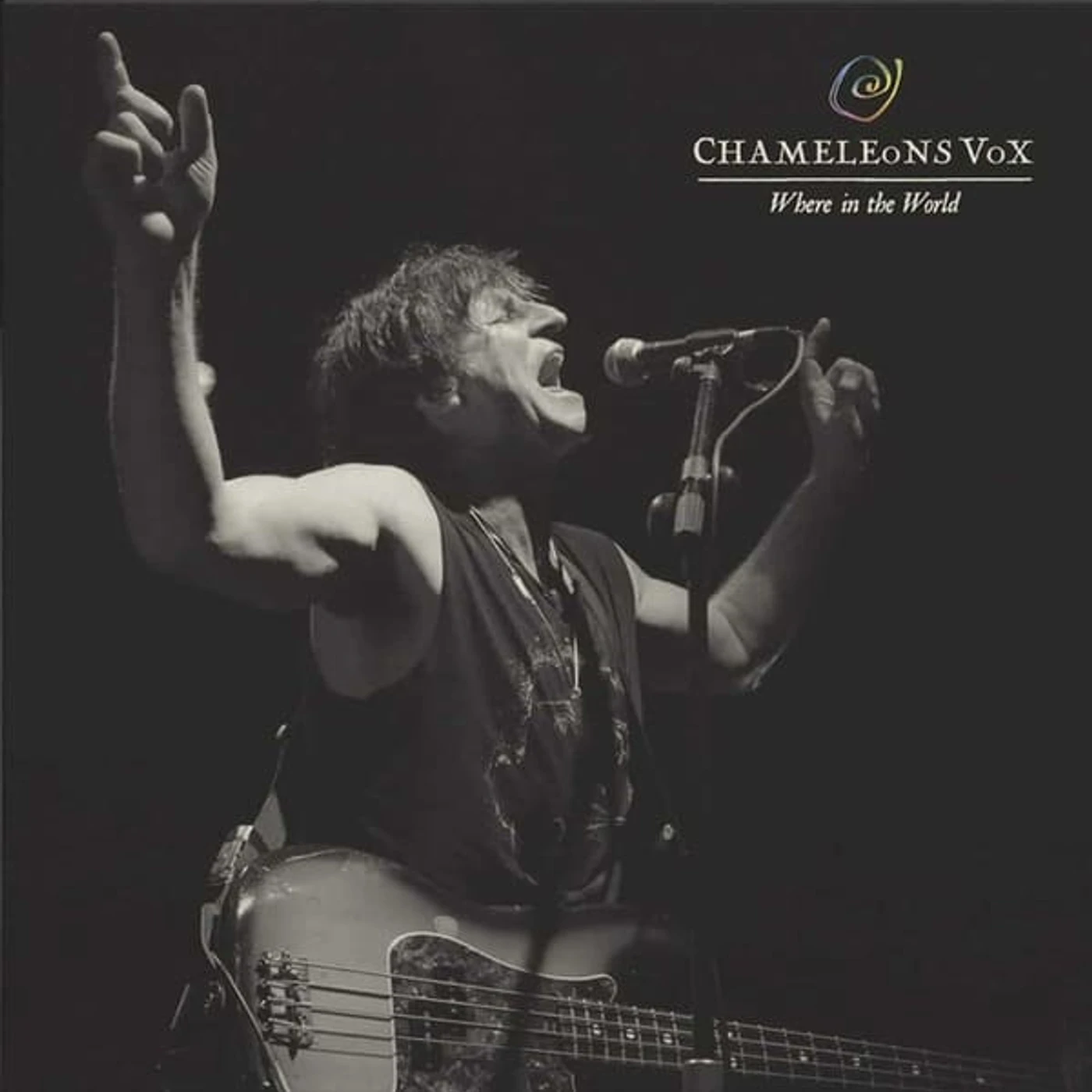 Chameleons Vox WHERE IN THE WORLD Vinyl Record