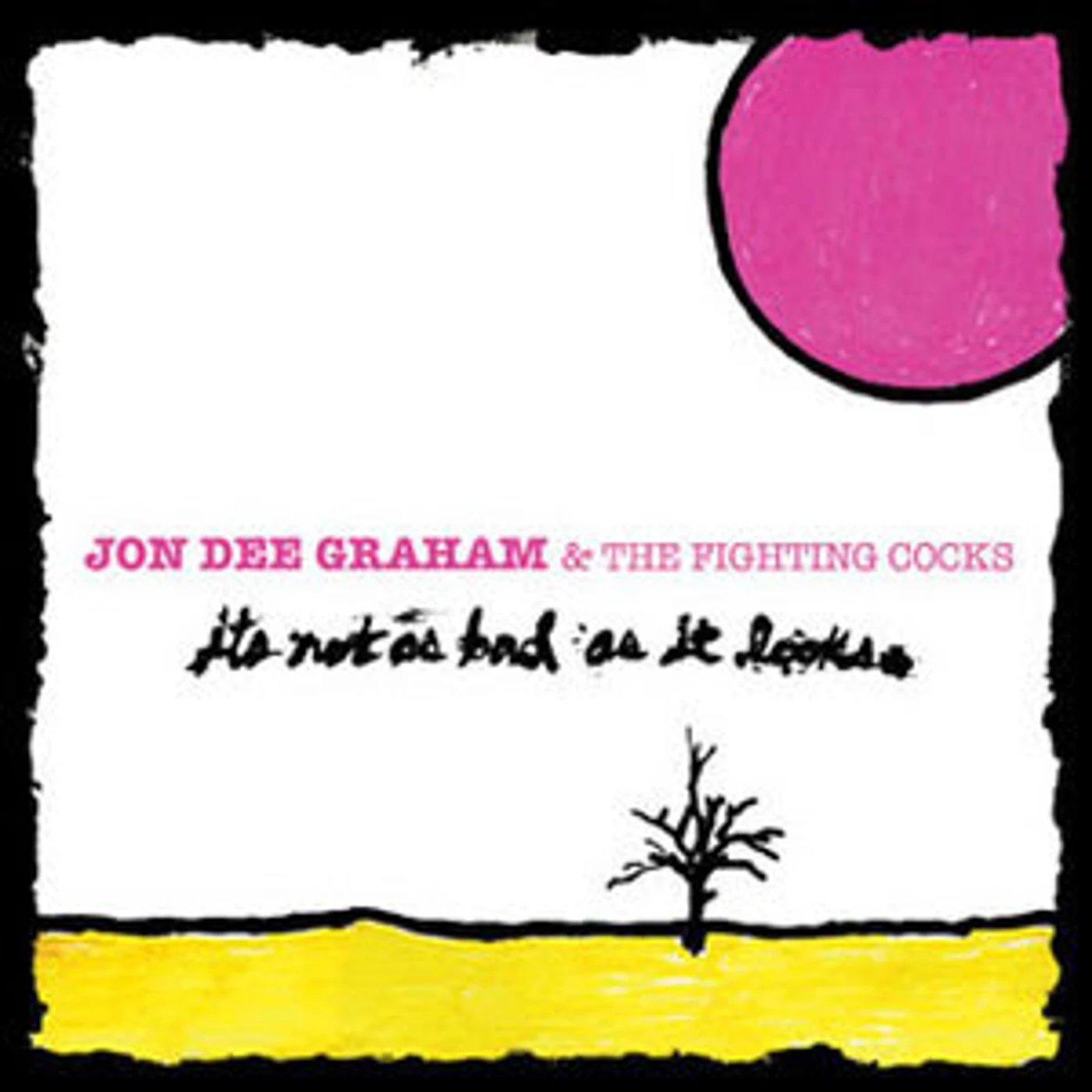 Jon Dee Graham It's Not as Bad as It Looks Vinyl Record