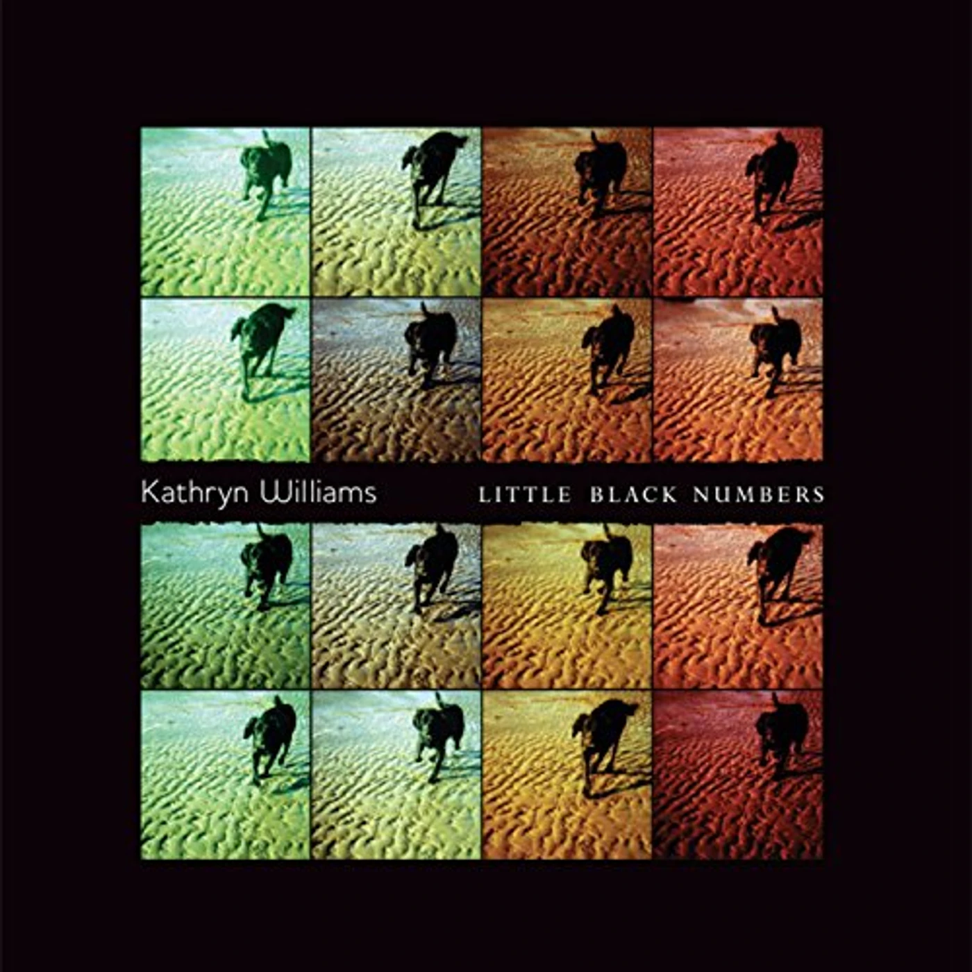 Kathryn Williams LITTLE BLACK NUMBERS Vinyl Record