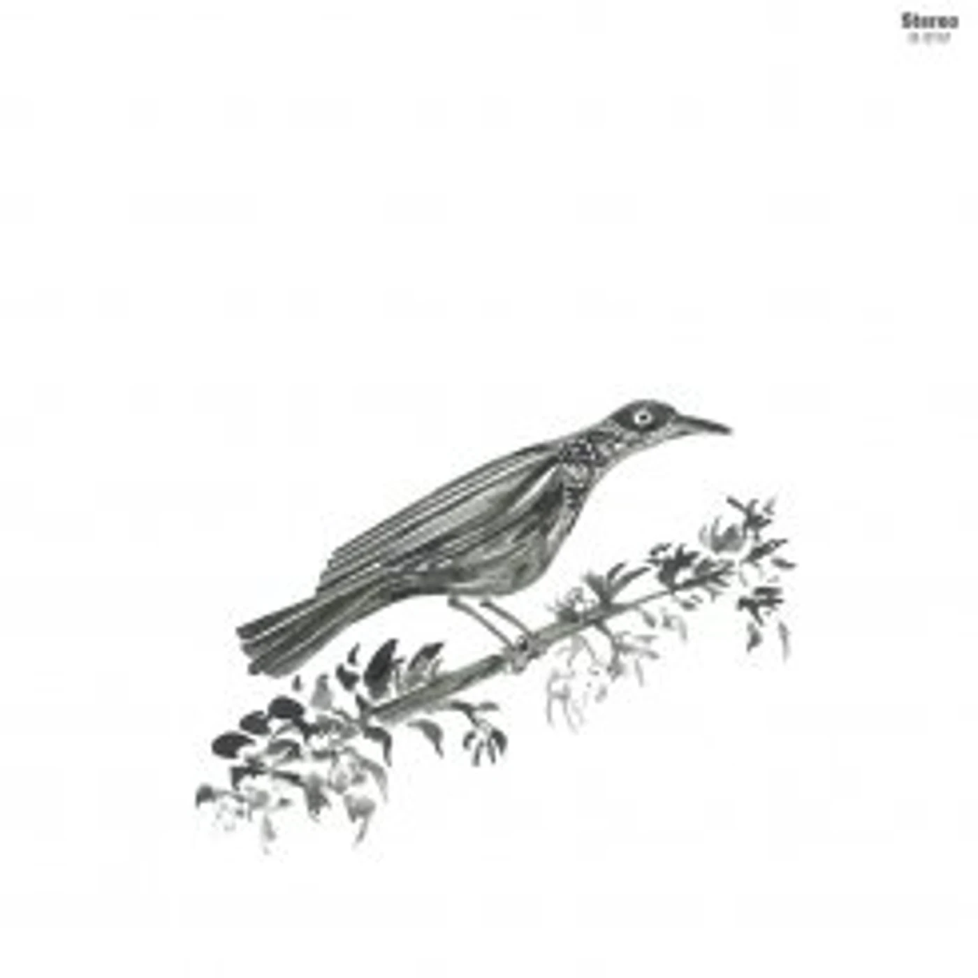 Os Peregrinos CANTO PEREGRINO Vinyl Record