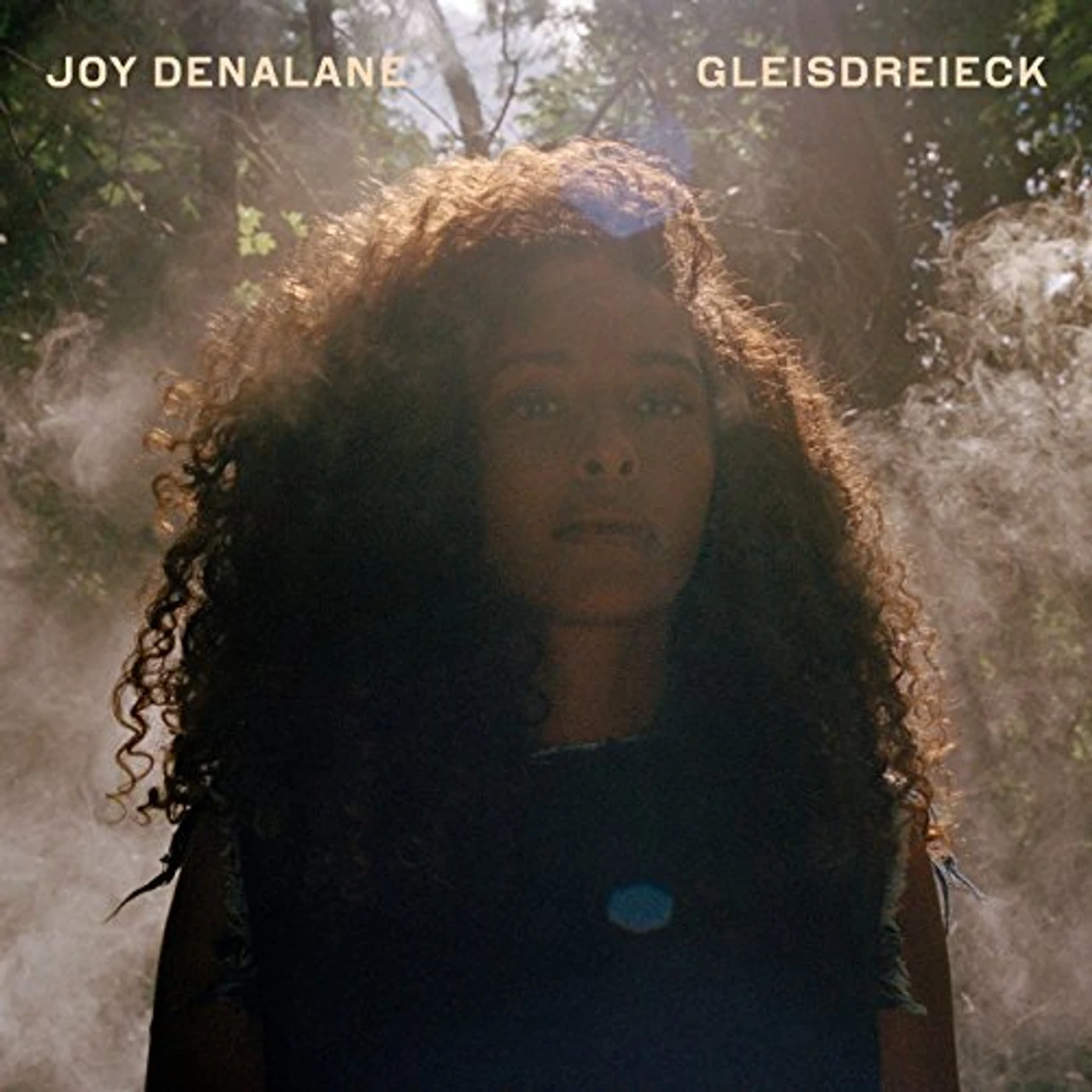Joy Denalane GLEISDREIECK: LIMITED EDITION CD