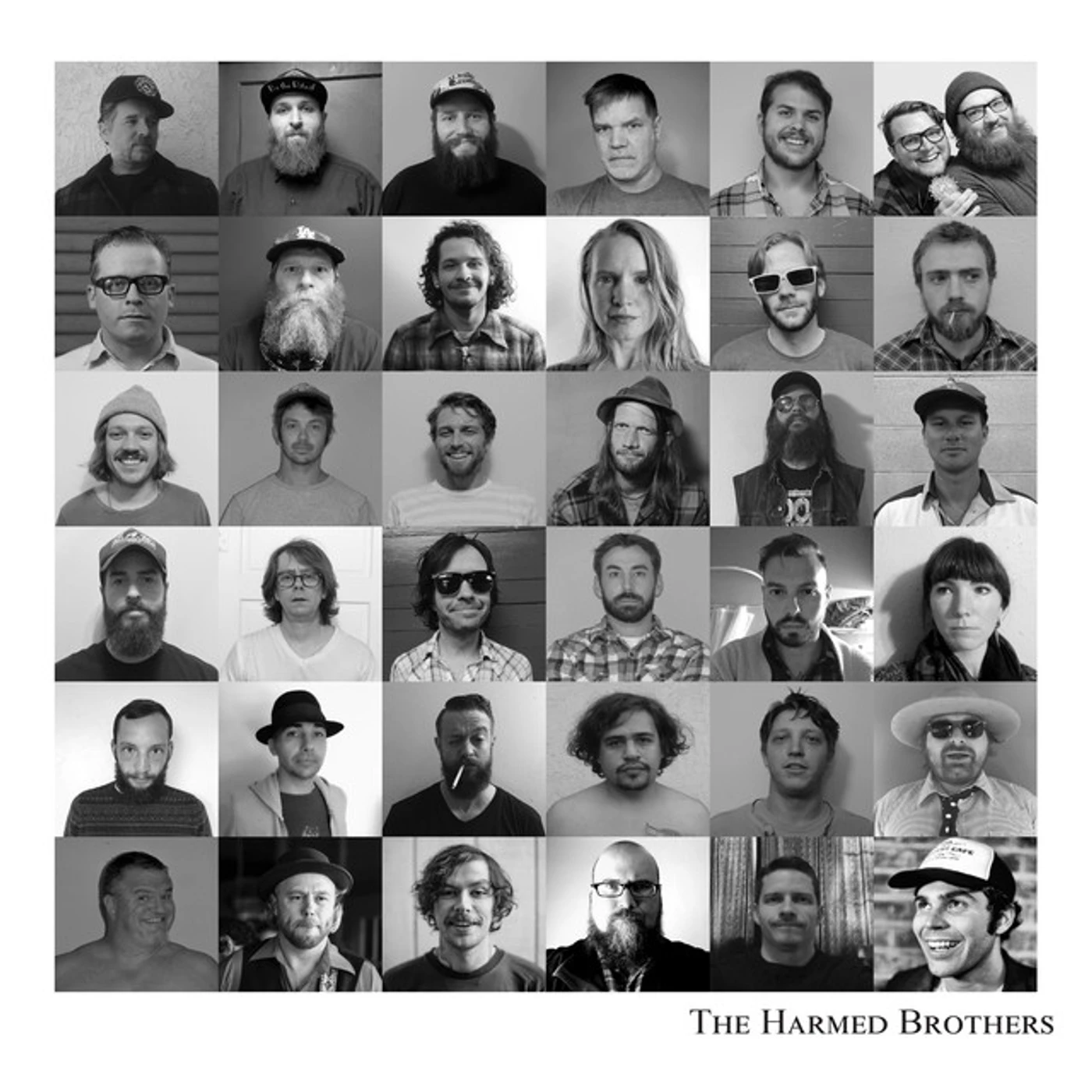 The Harmed Brothers Vinyl Record