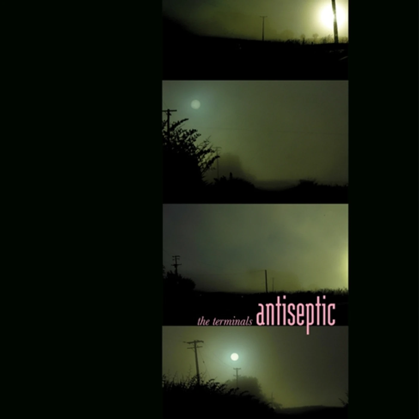 The Terminals Antiseptic Vinyl Record