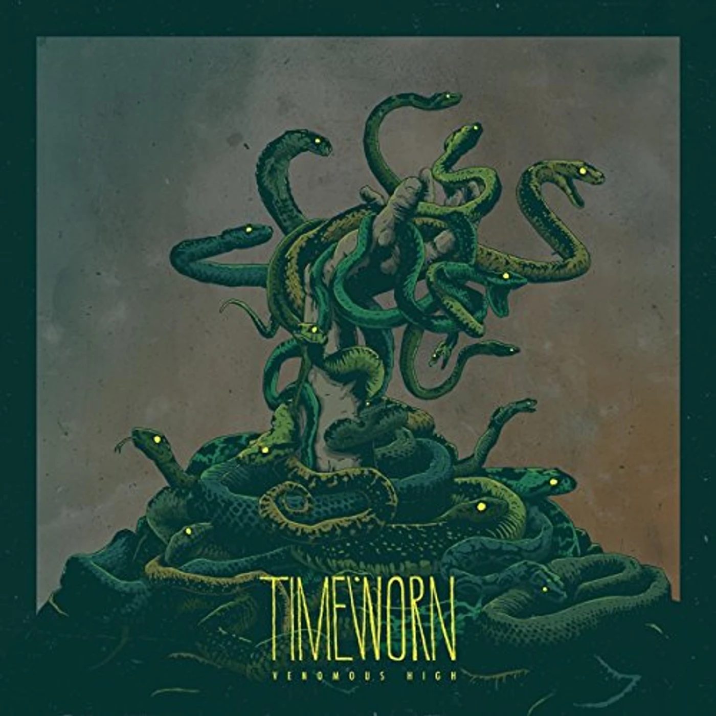 Timeworn VENOMOUS HIGH Vinyl Record