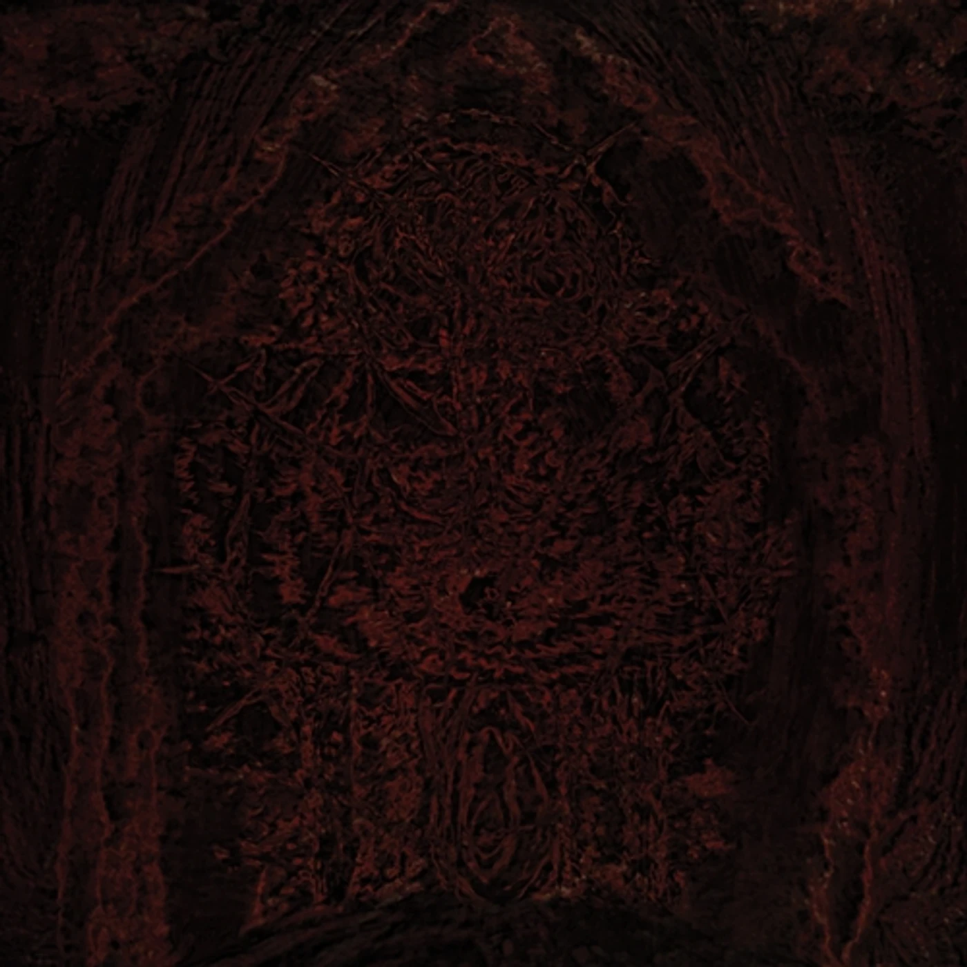 Impetuous Ritual Blight Upon Martyred Sentience Vinyl Record
