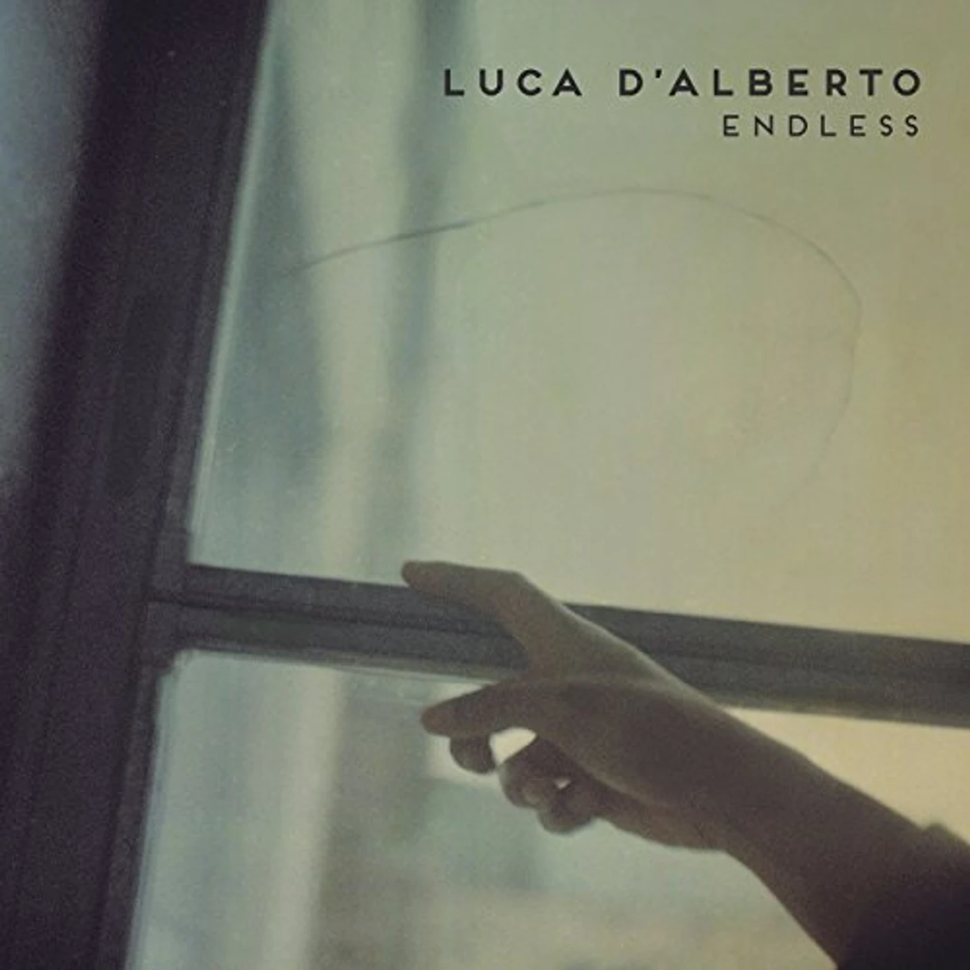 Luca D'Alberto Endless Vinyl Record