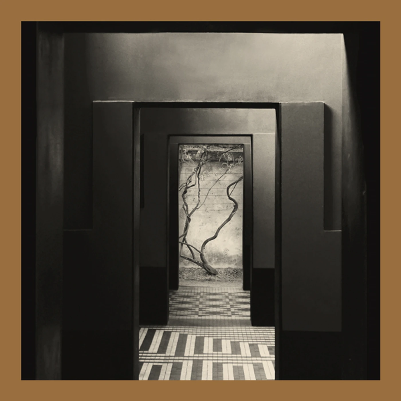 Yair Elazar Glotman Negative Chambers Vinyl Record