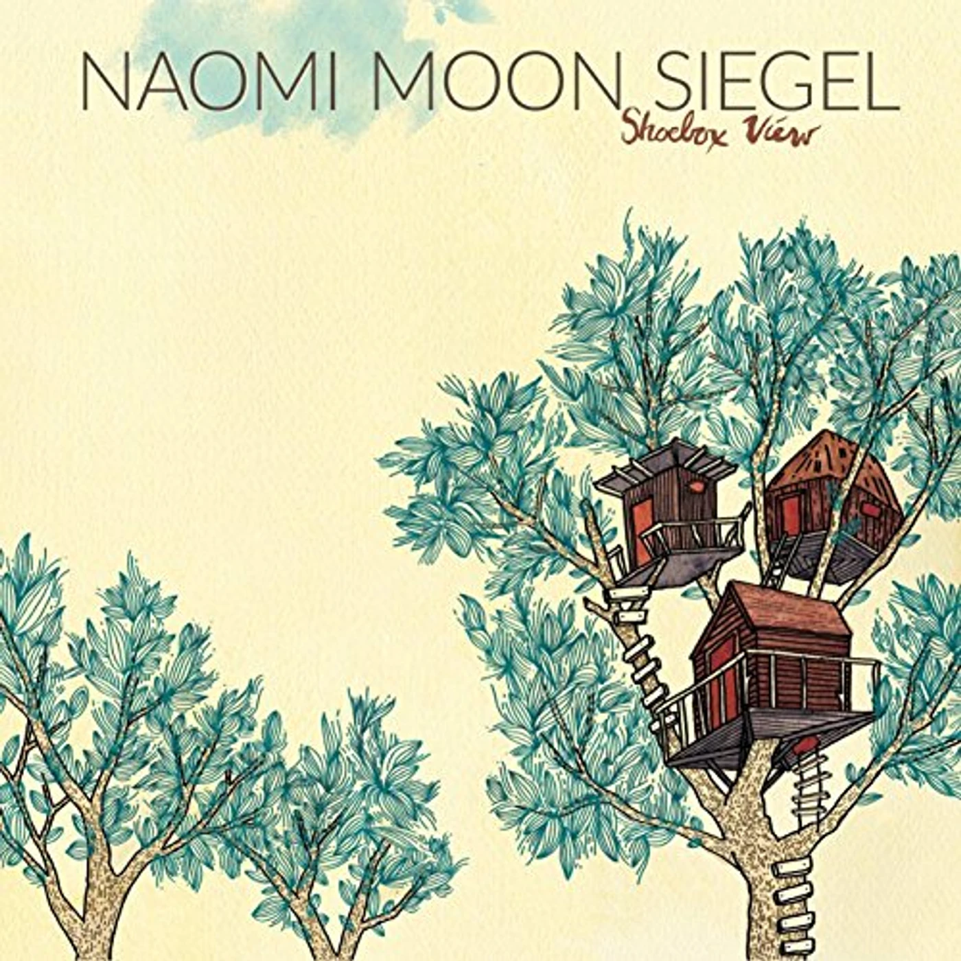 Naomi Moon Siegel Shoebox View Vinyl Record