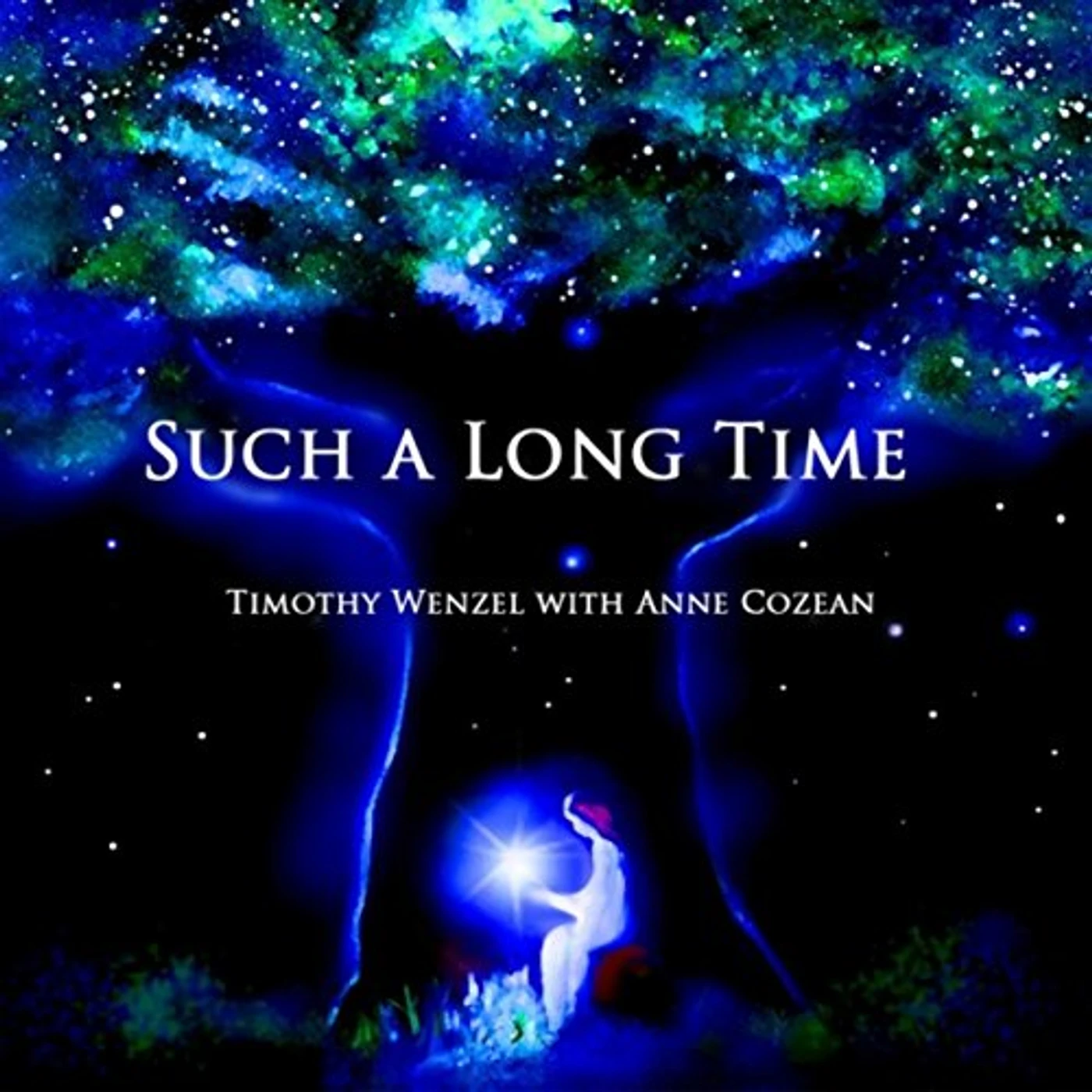 Timothy Wenzel SUCH A LONG TIME CD