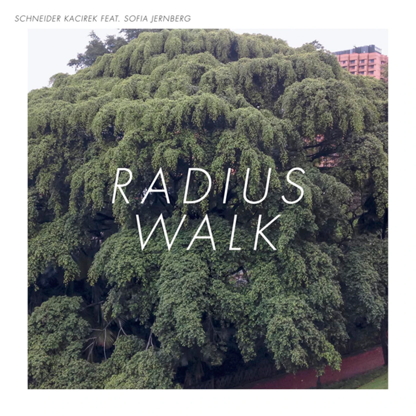 Schneider Kacirek RADIUS WALK CD