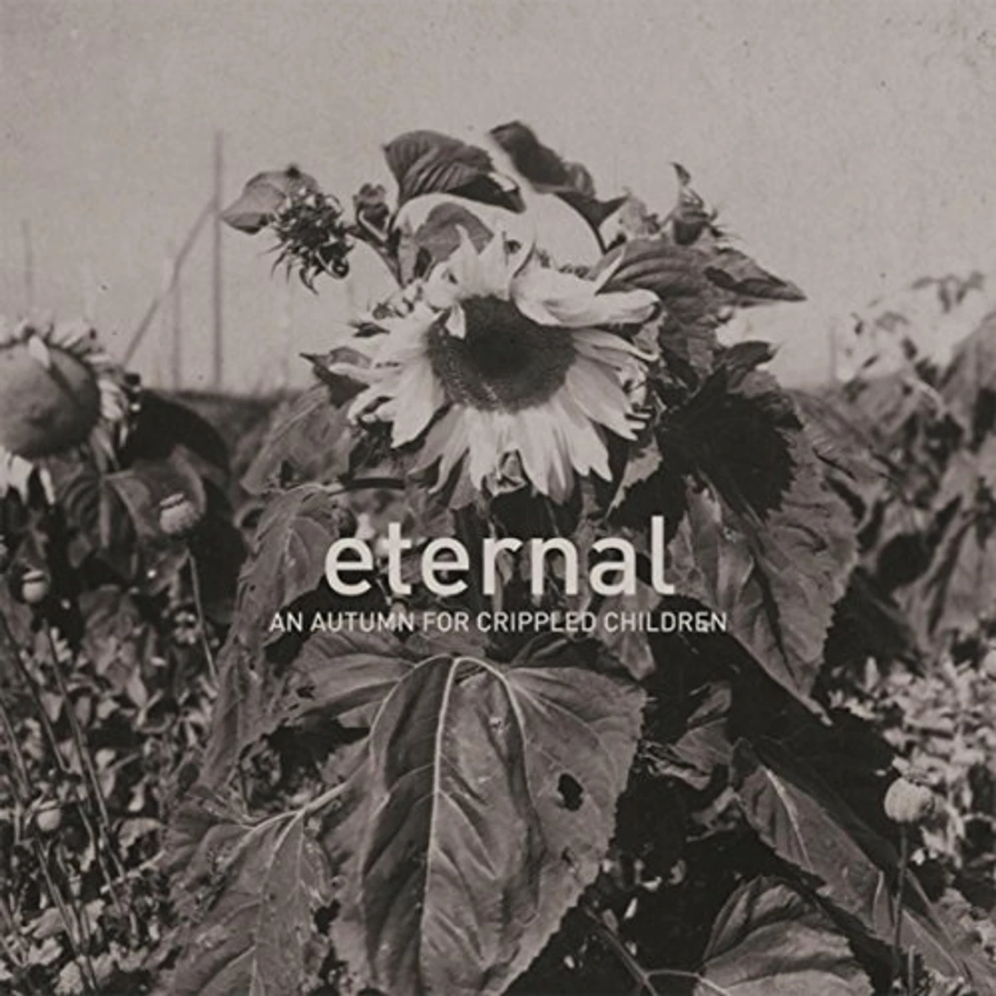 An Autumn for Crippled Children ETERNAL CD