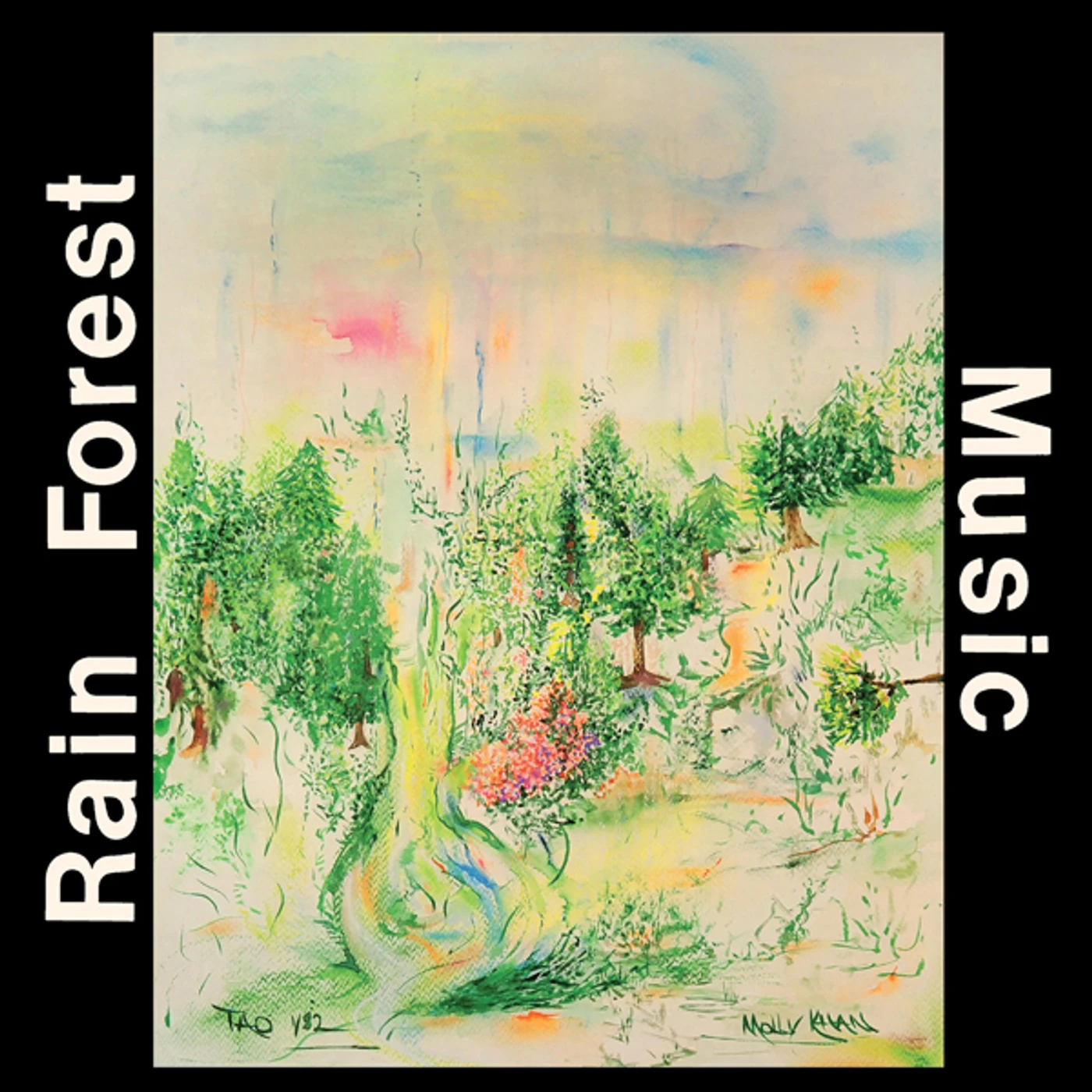 J.D. Emmanuel Rain Forest Music Vinyl Record