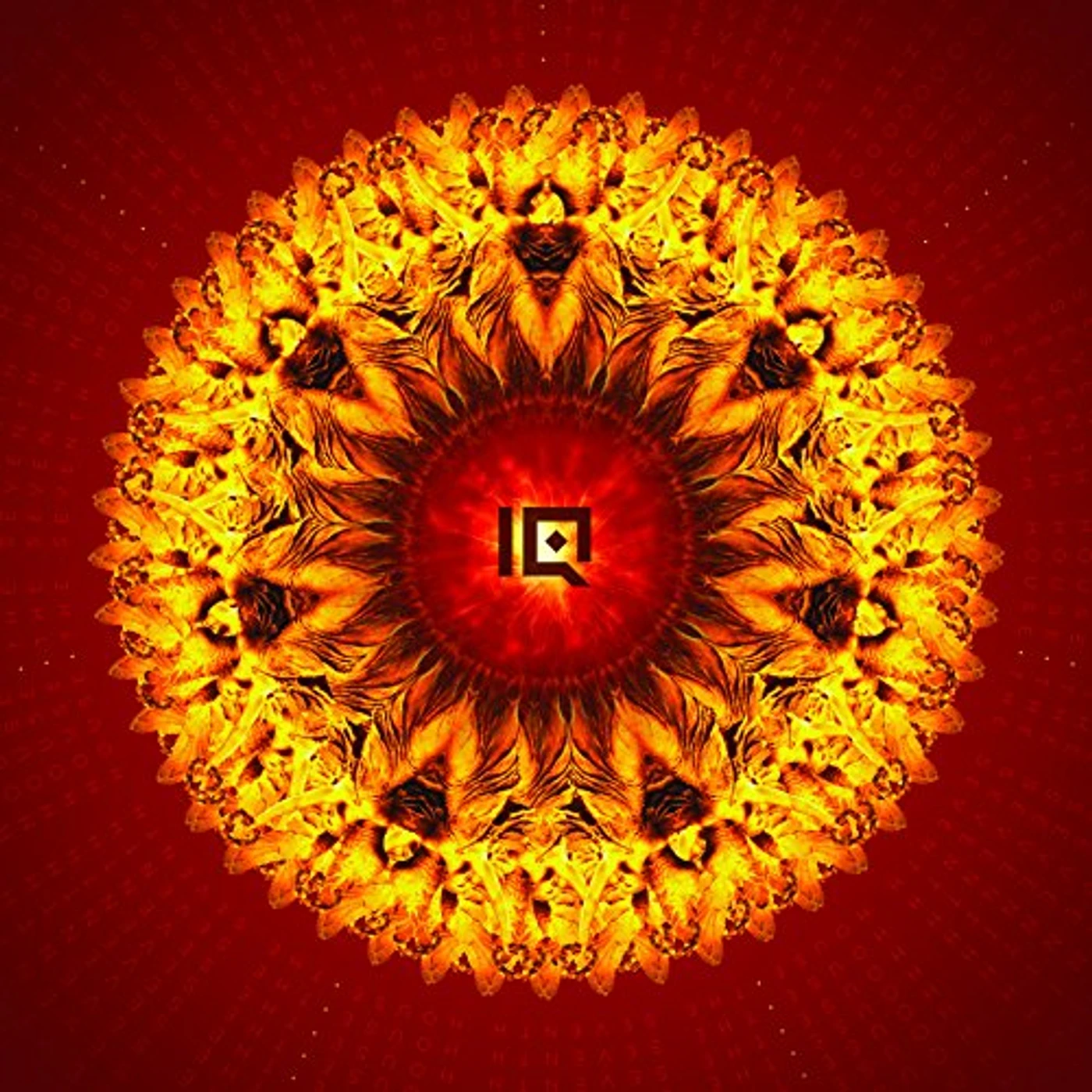 IQ SEVENTH HOUSE Vinyl Record