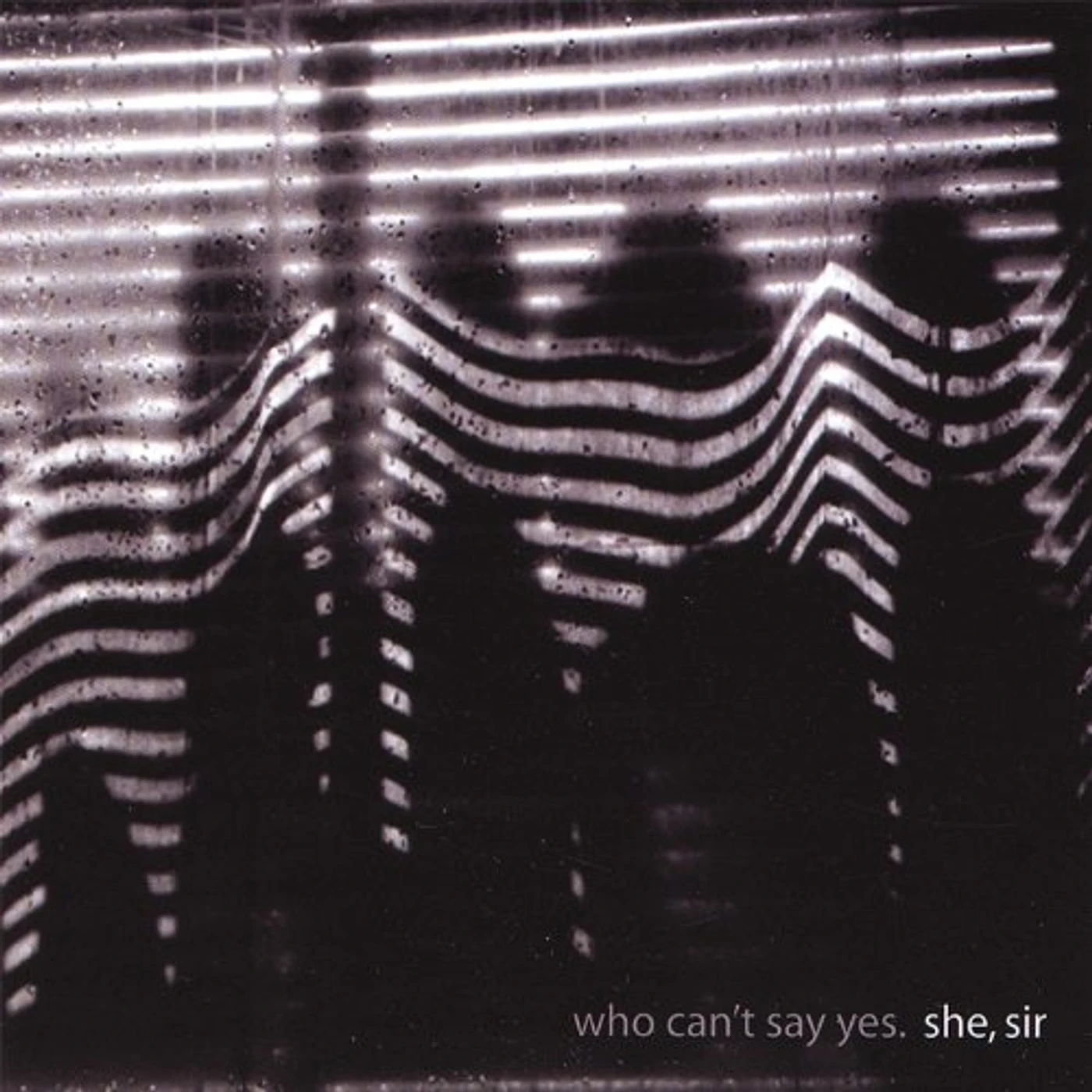 She Sir Who Can't Say Yes Vinyl Record