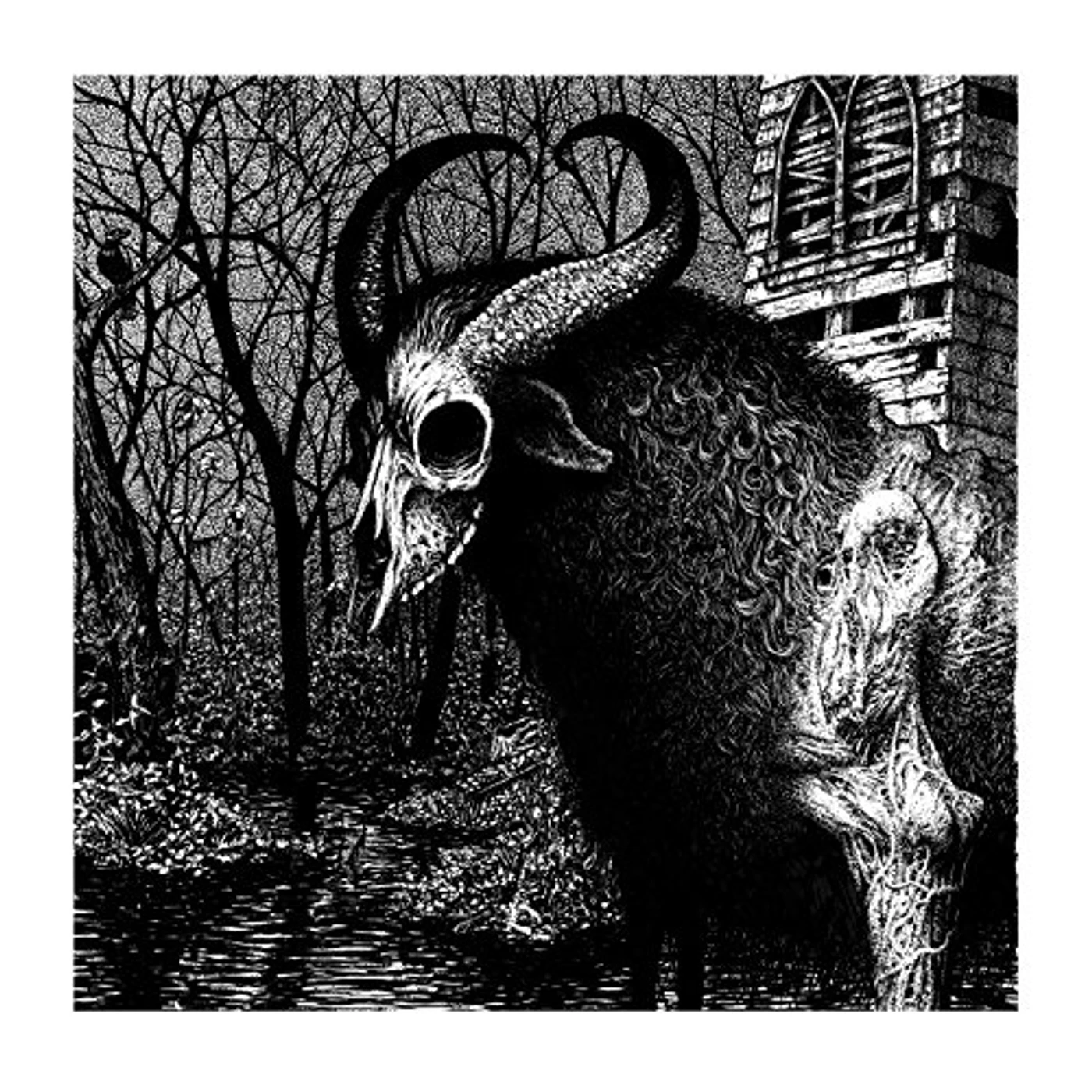 Hull Legend Of The Swamp Goat Vinyl Record