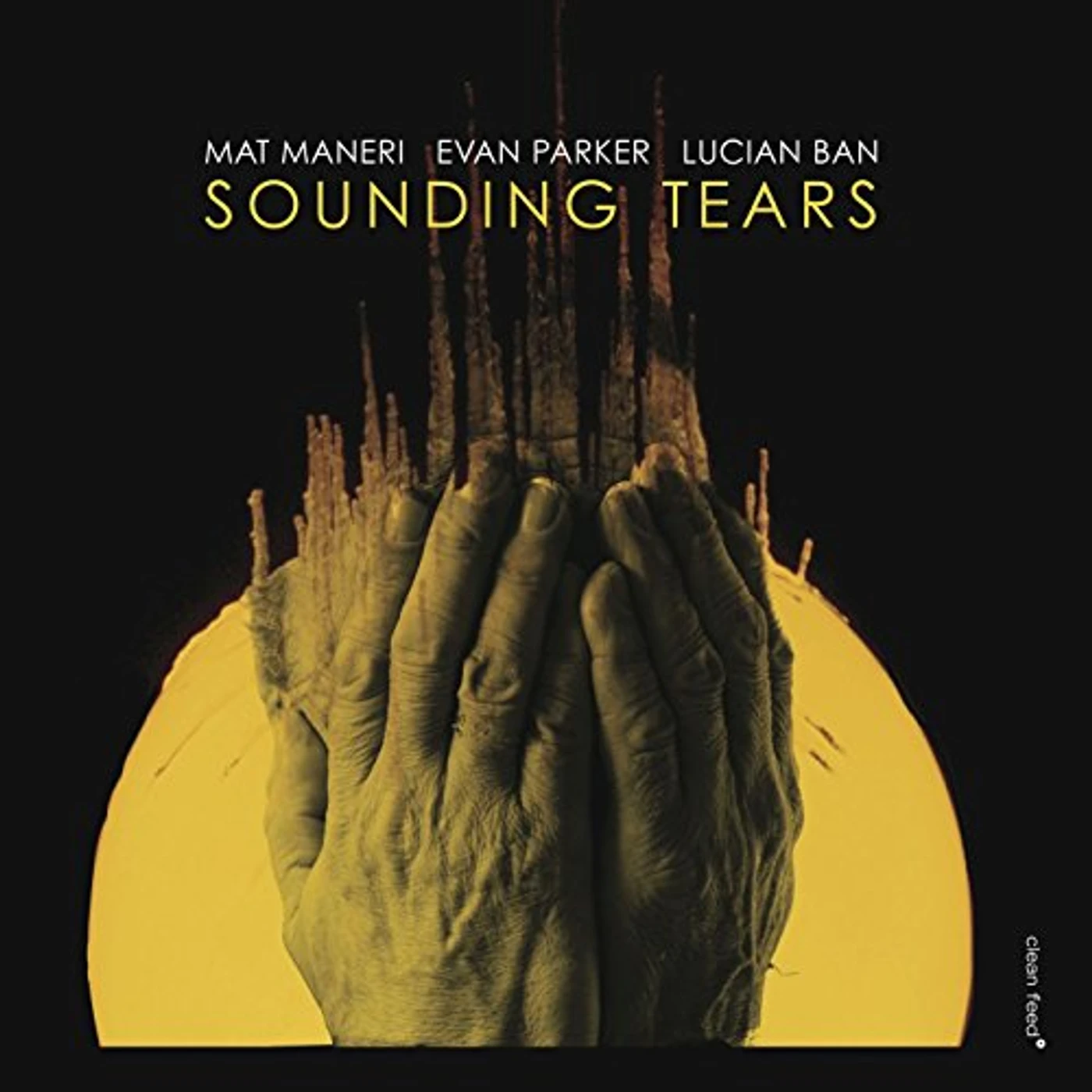 Mat Maneri SOUNDING TEARS WITH EVAN PARKER & LUCIAN BAN CD