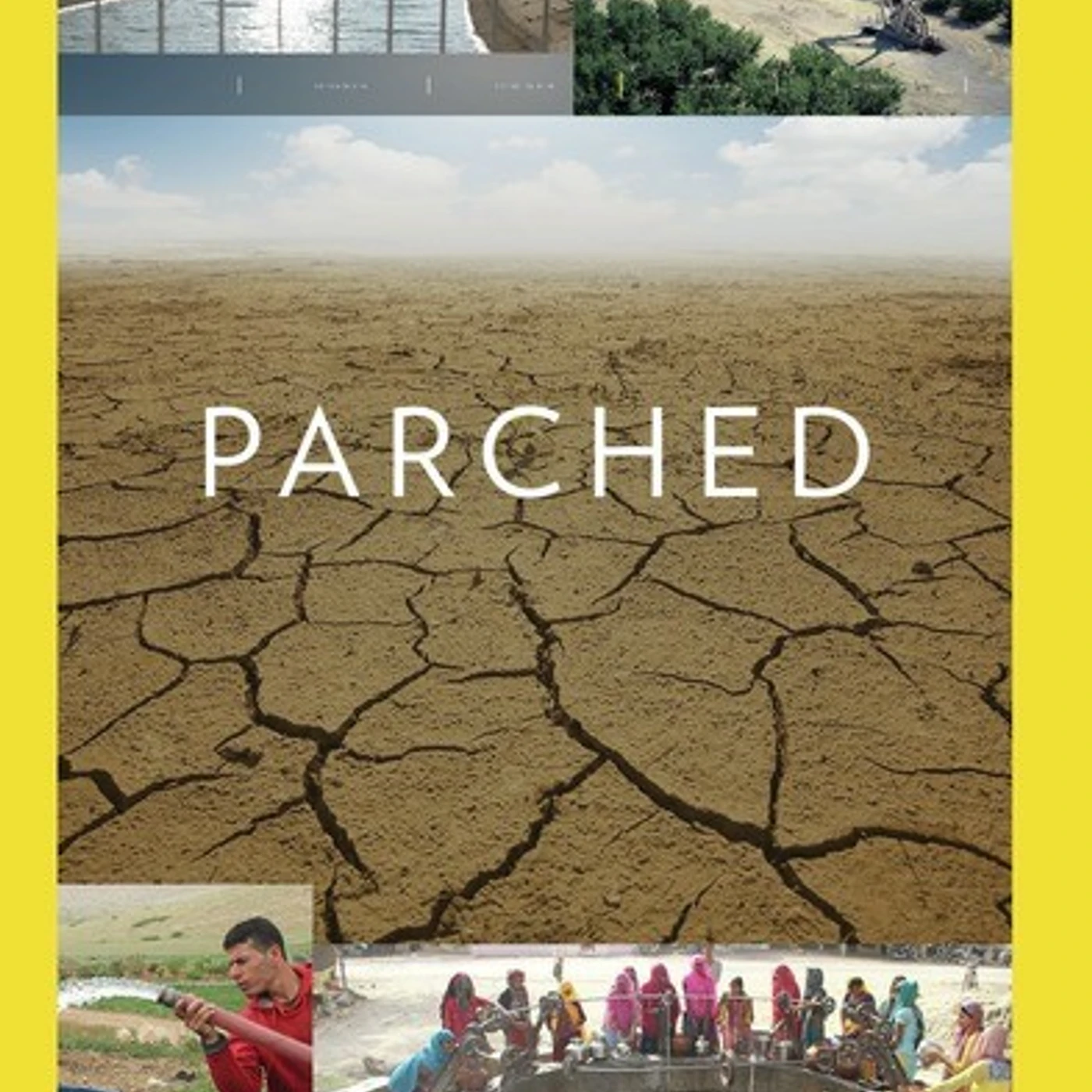 PARCHED DVD