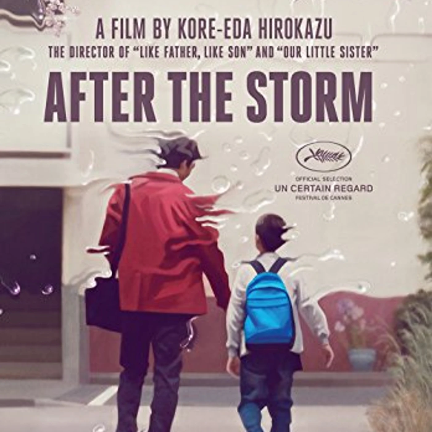 AFTER THE STORM DVD