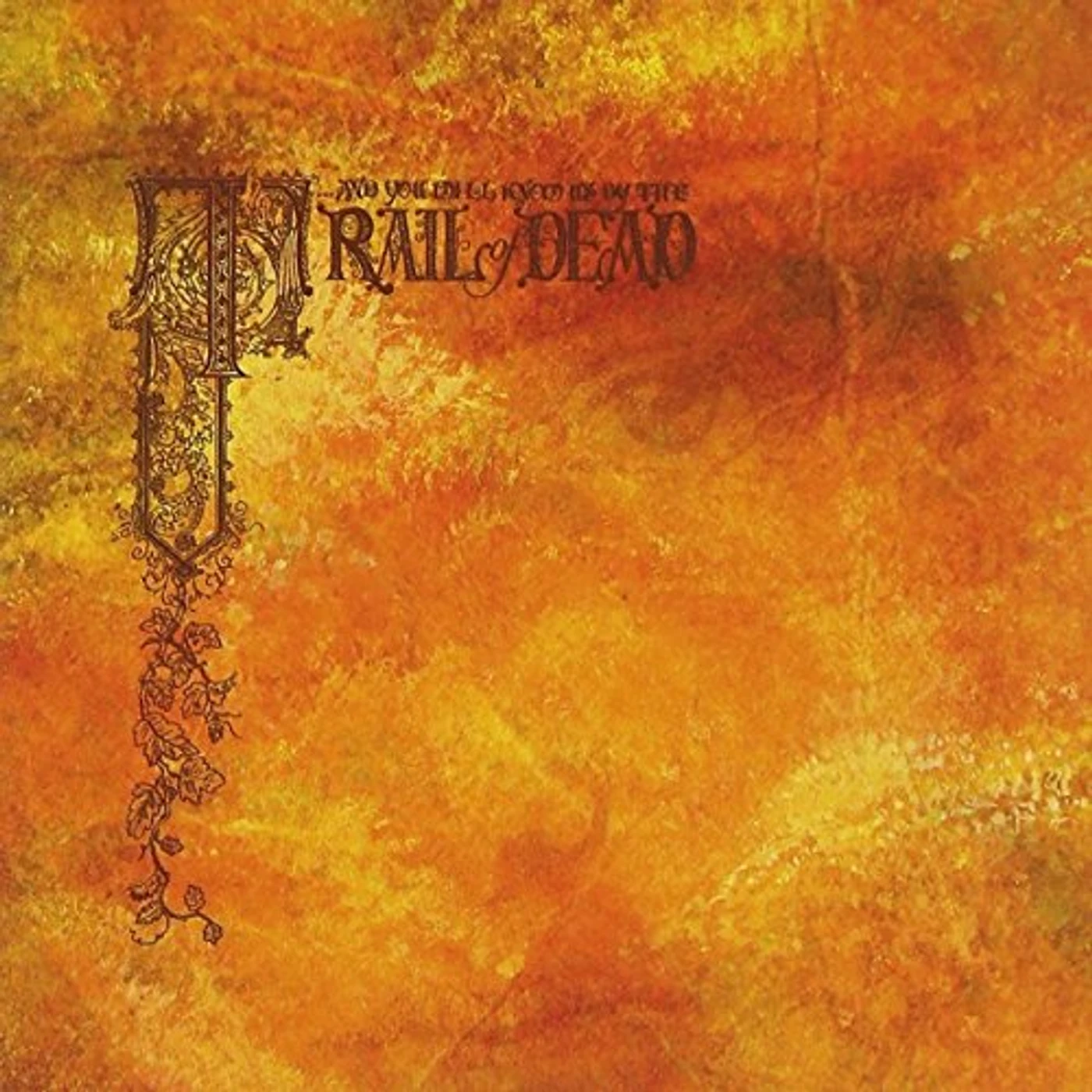 ...And You Will Know Us by the Trail of Dead Source Tags & Codes Vinyl Record