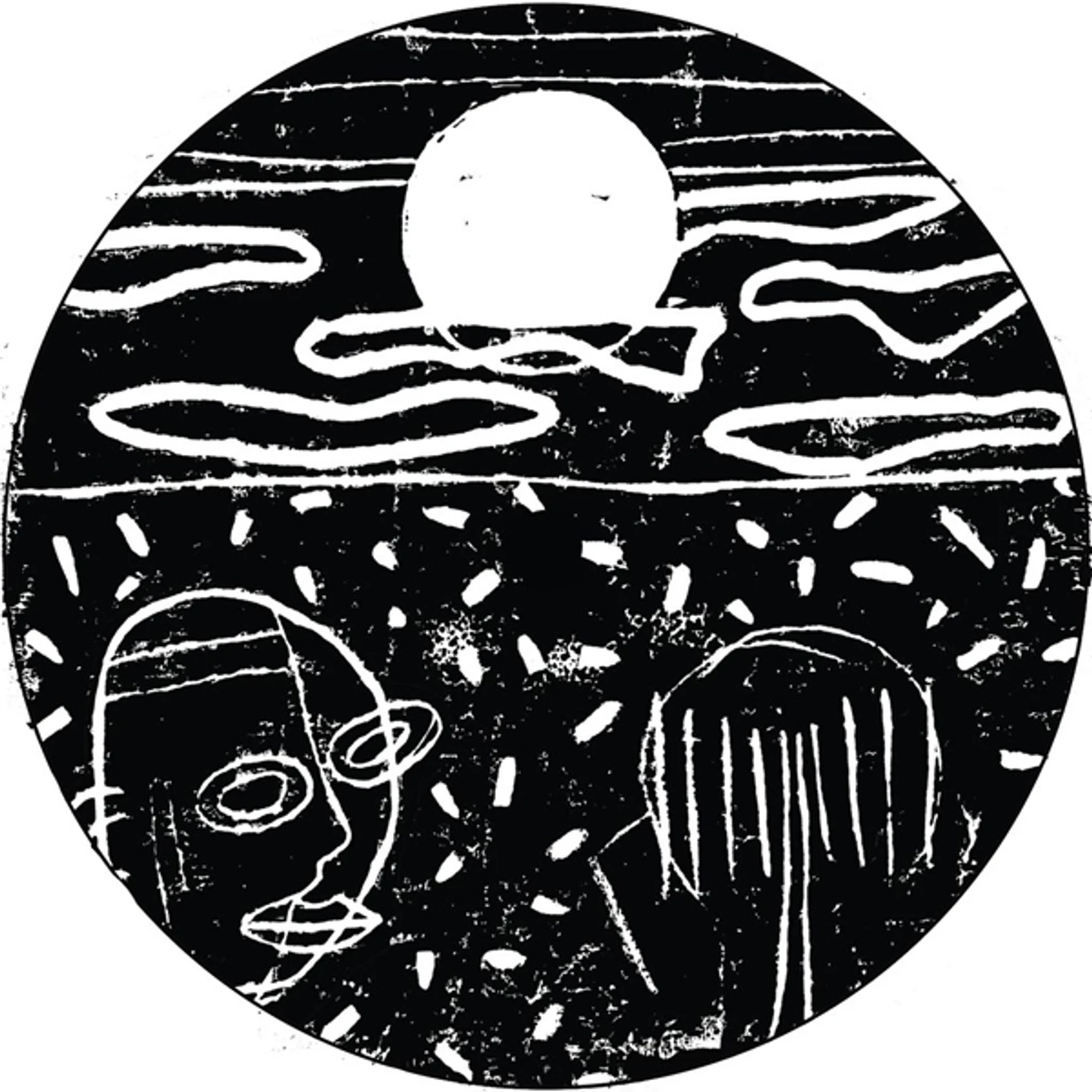 Duckett GANNETS FOR GUANO Vinyl Record