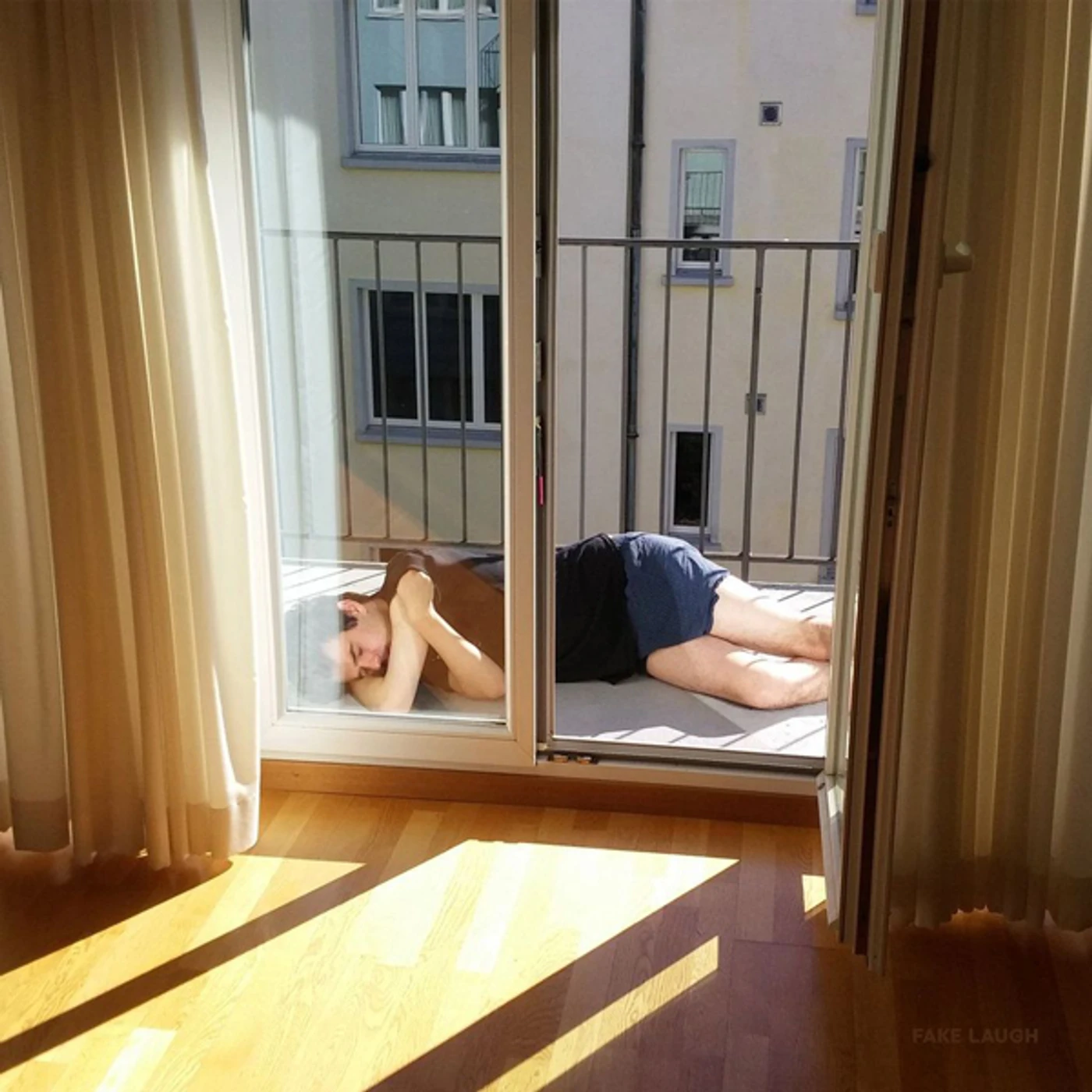 Fake Laugh Vinyl Record