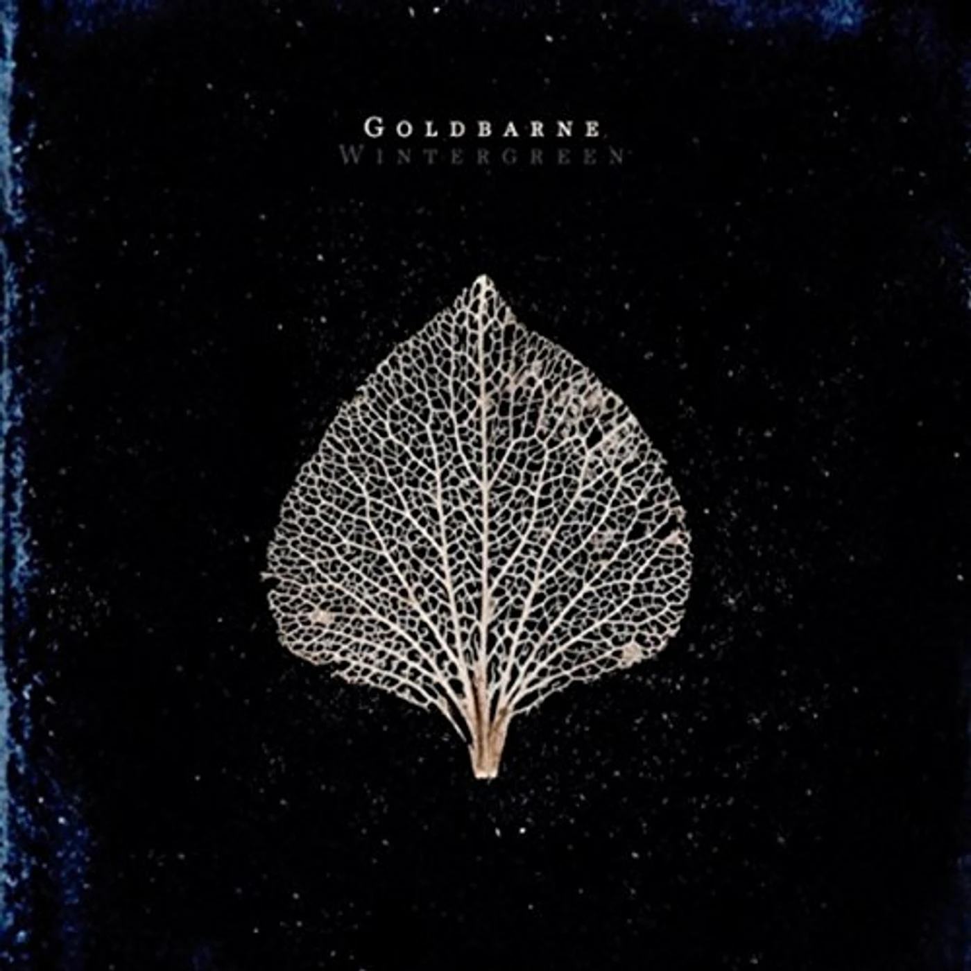 Goldbarne WINTERGREEN CD