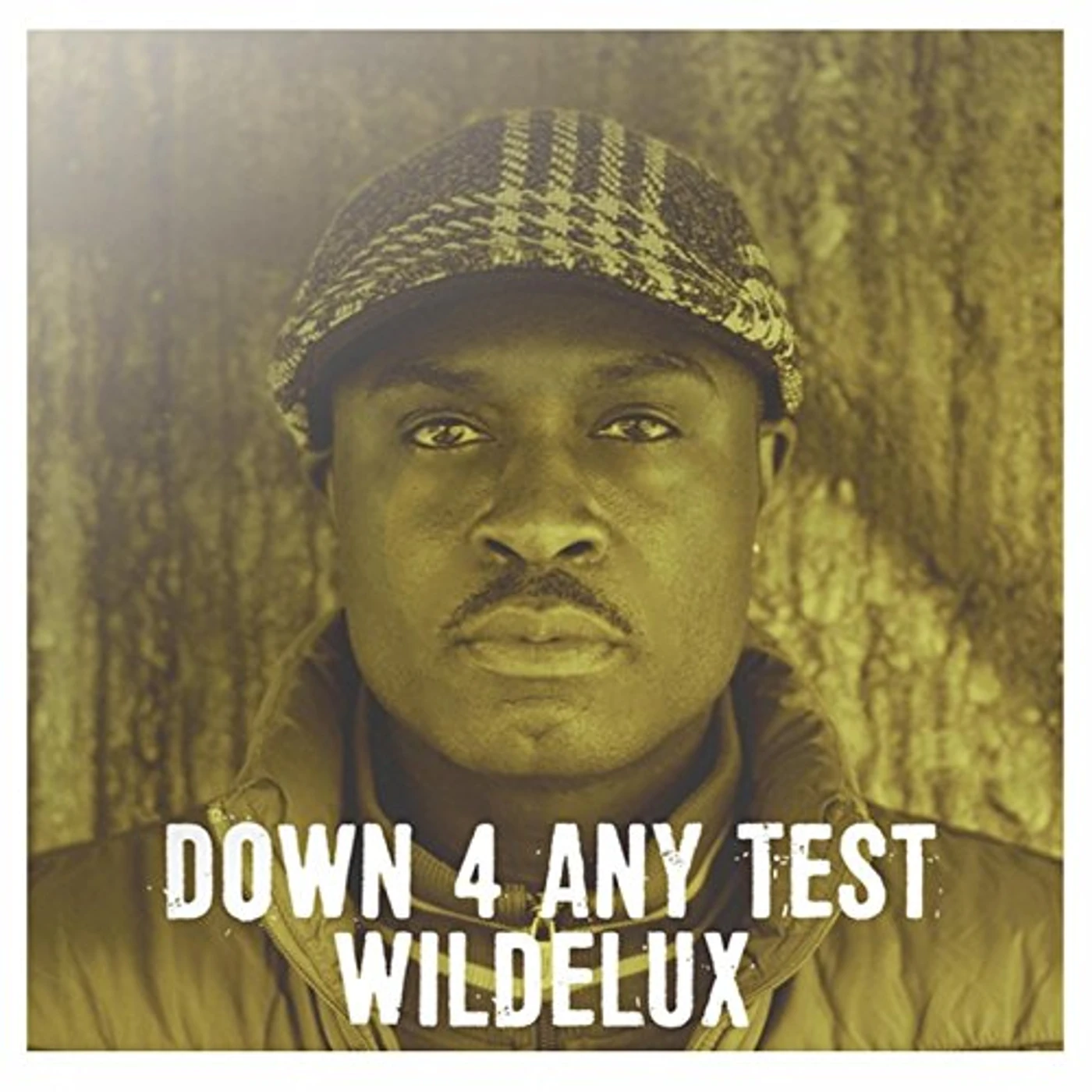 Wildelux Down 4 Any Test Vinyl Record