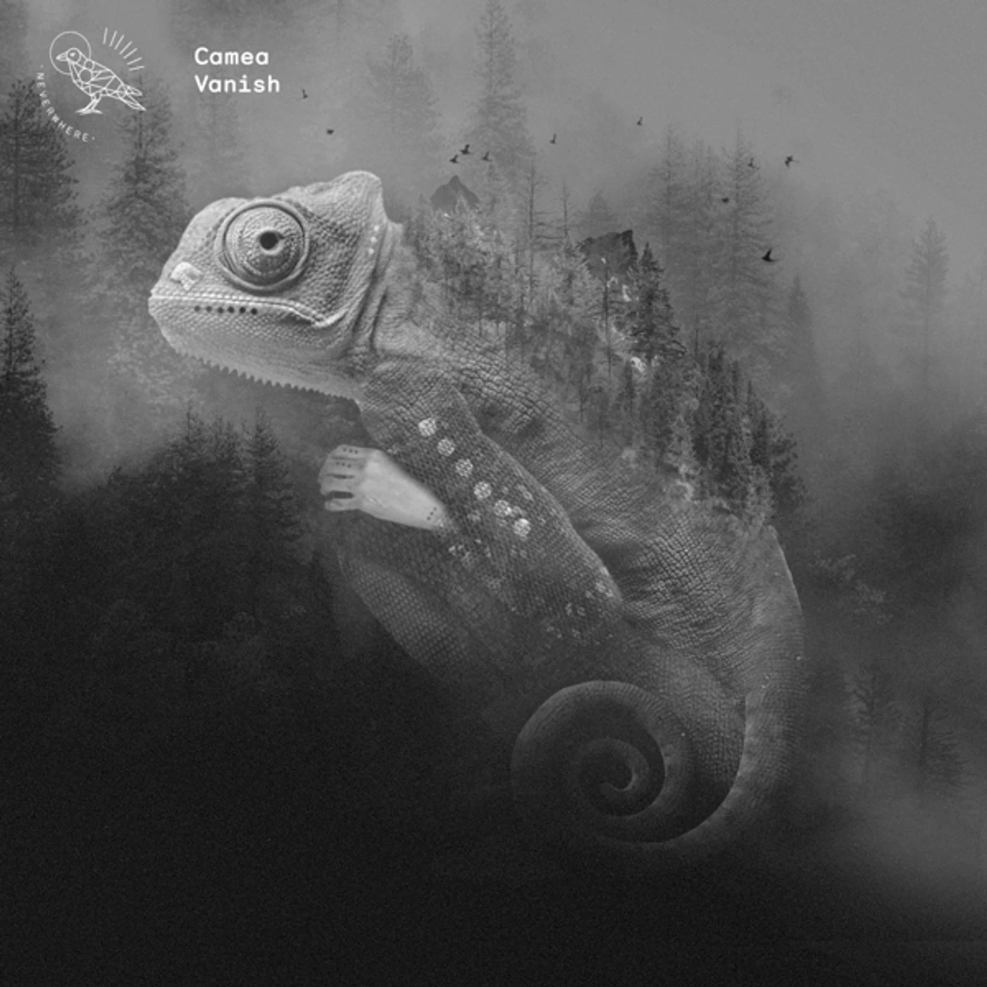 Camea Vanish Vinyl Record