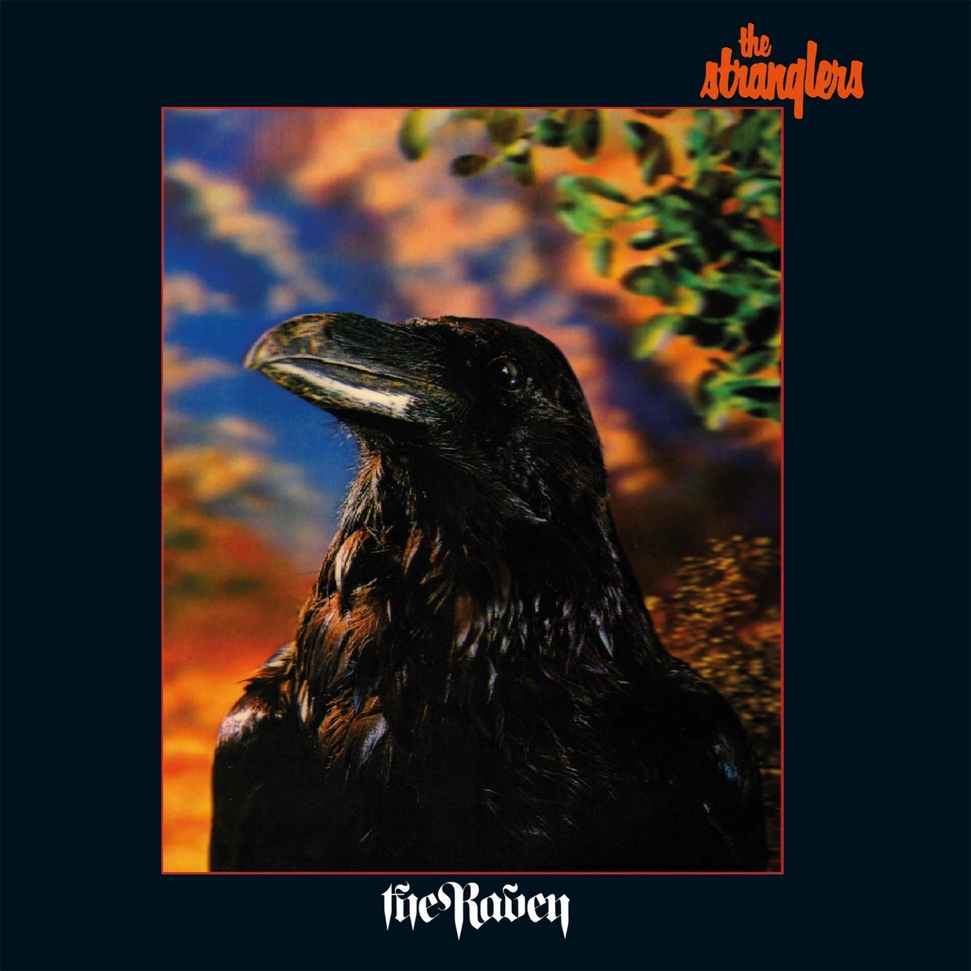 The Stranglers RAVEN CD
