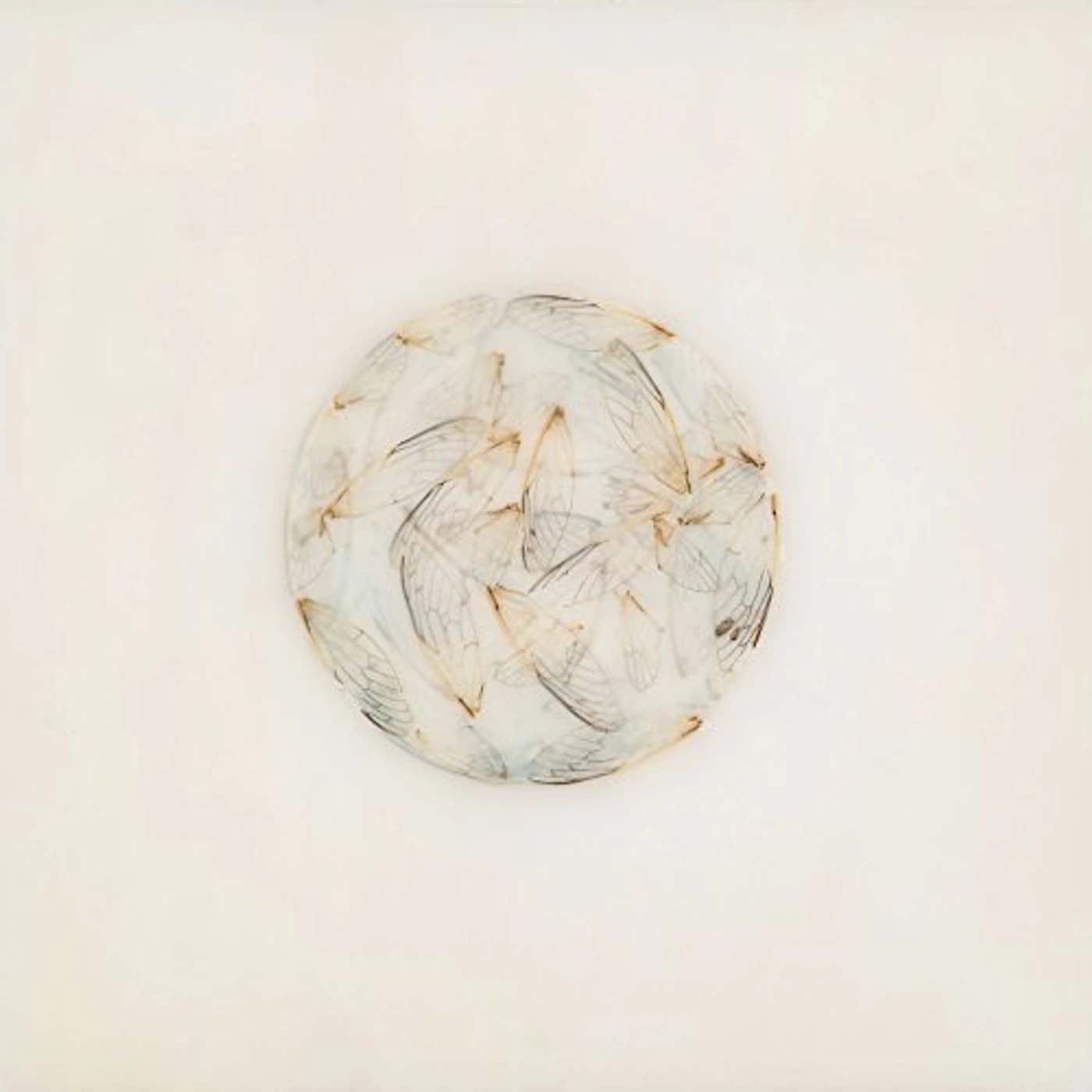Lotte Kestner OFF WHITE CD