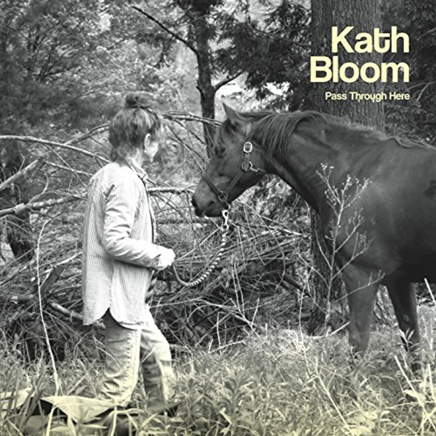 Kath Bloom PASS THROUGH HERE CD