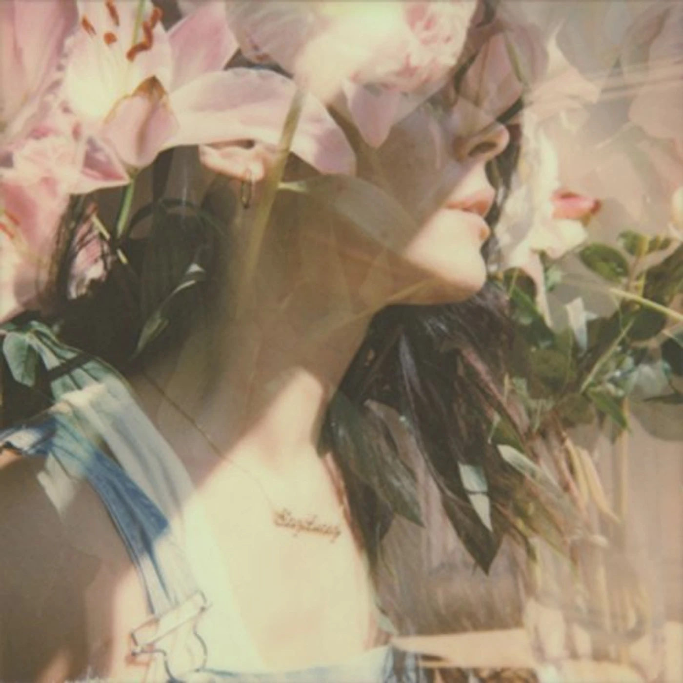 Nerina Pallot STAY LUCKY CD