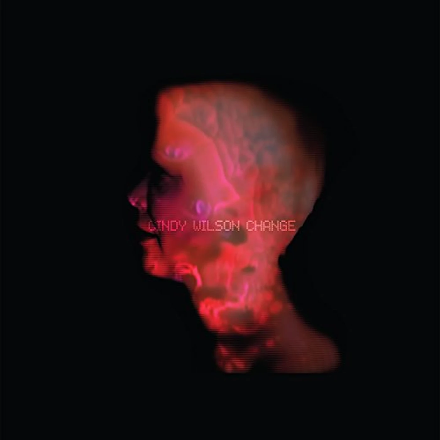 Cindy Wilson CHANGE Vinyl Record