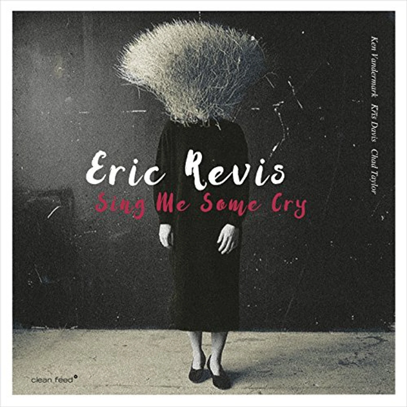 Eric Revis SING ME SOME CRY CD