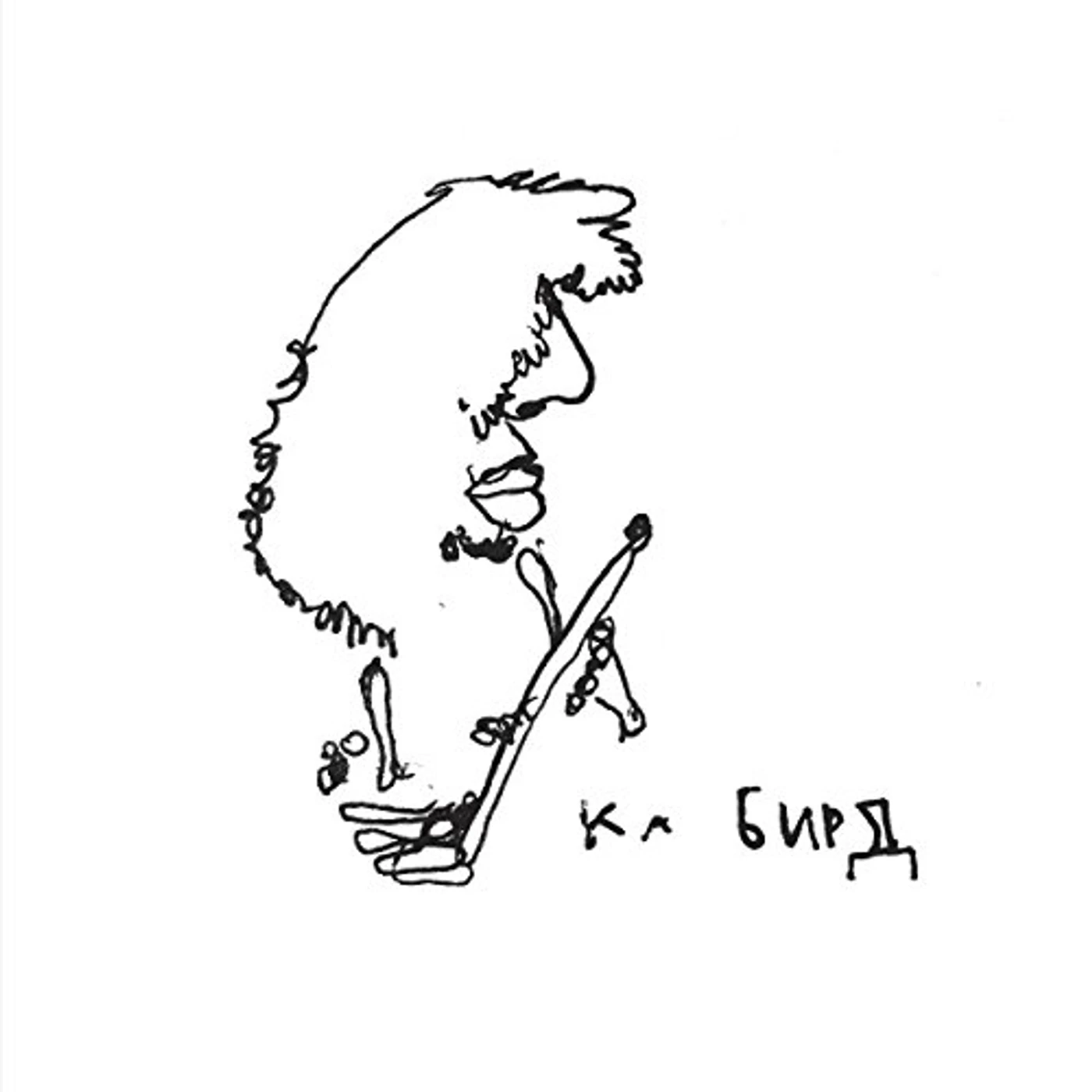 Ka Baird SAPROPELIC PYCNIC Vinyl Record