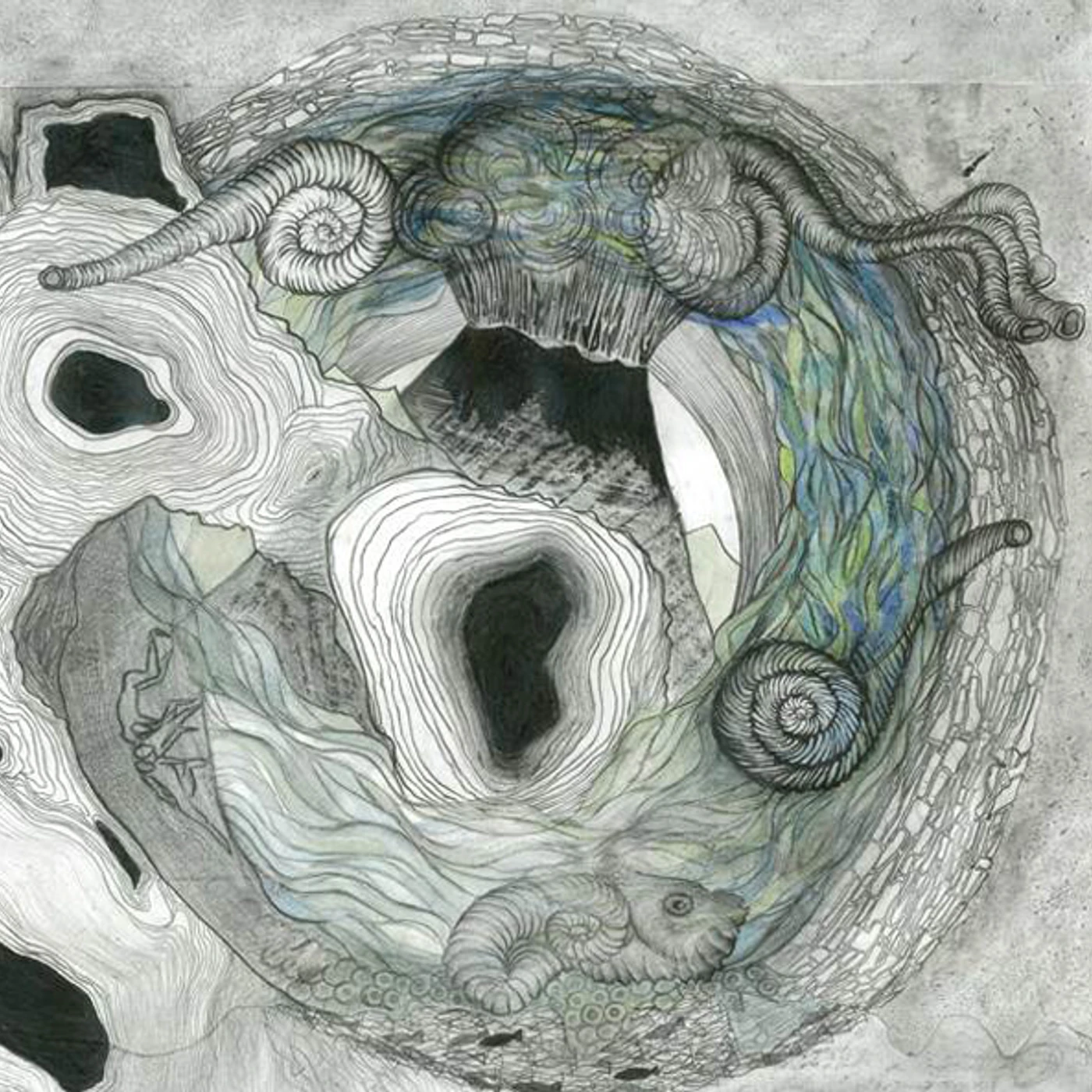 Aine O'dwyer Gallarais Vinyl Record