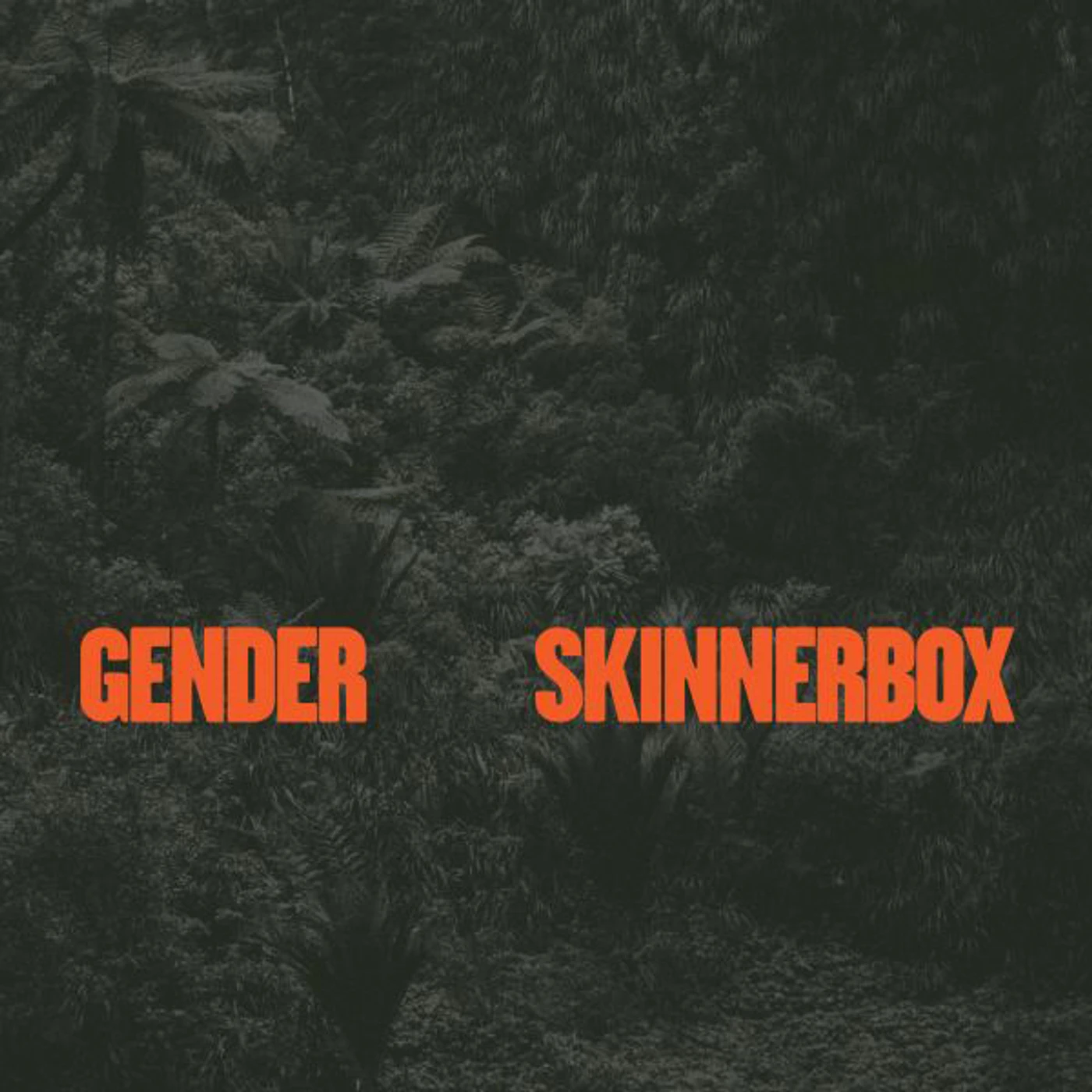 Skinnerbox Gender Vinyl Record
