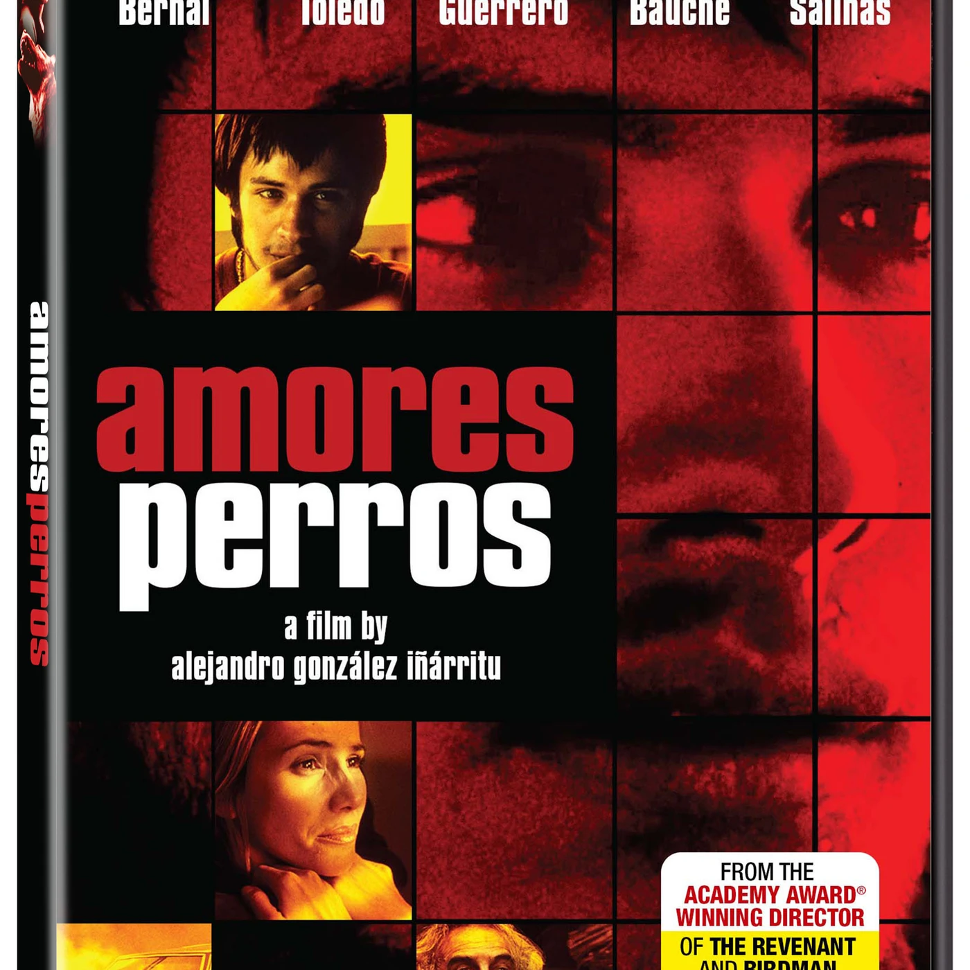 AMORES PERROS DVD