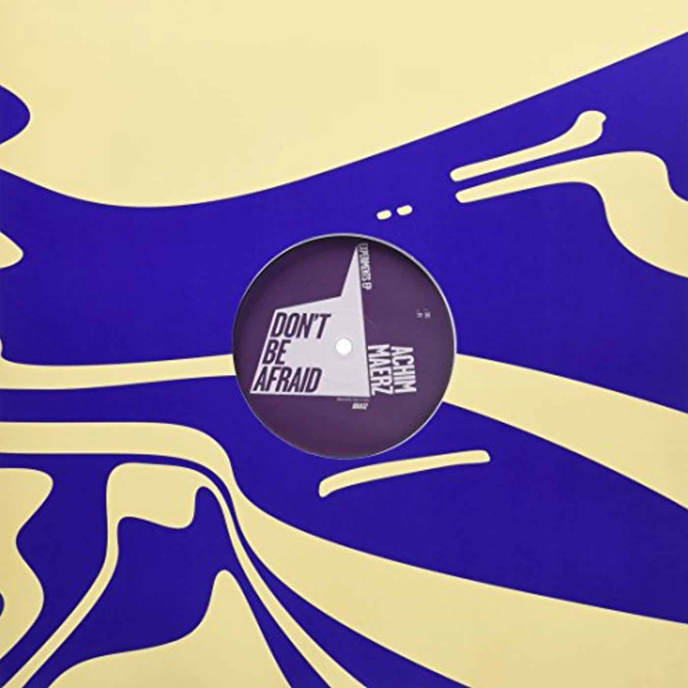 Achim Maerz Experiments Vinyl Record
