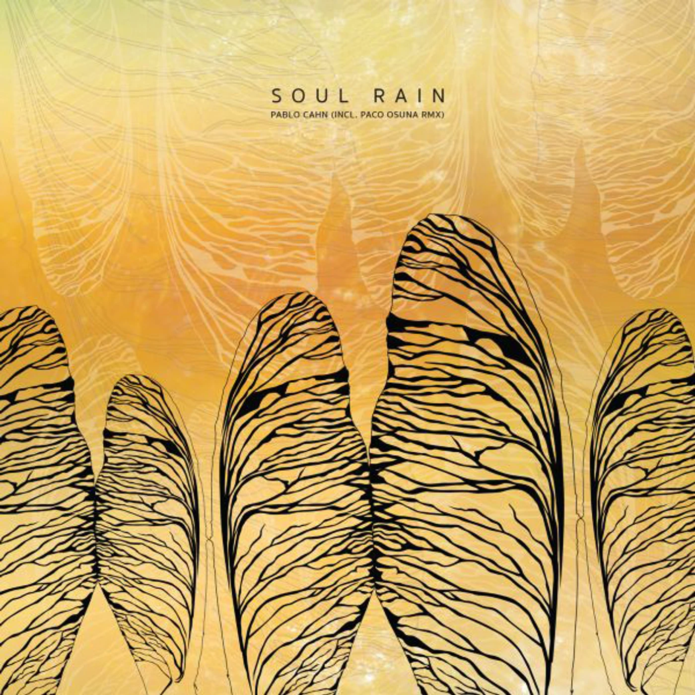 Pablo Cahn SOUL RAIN Vinyl Record