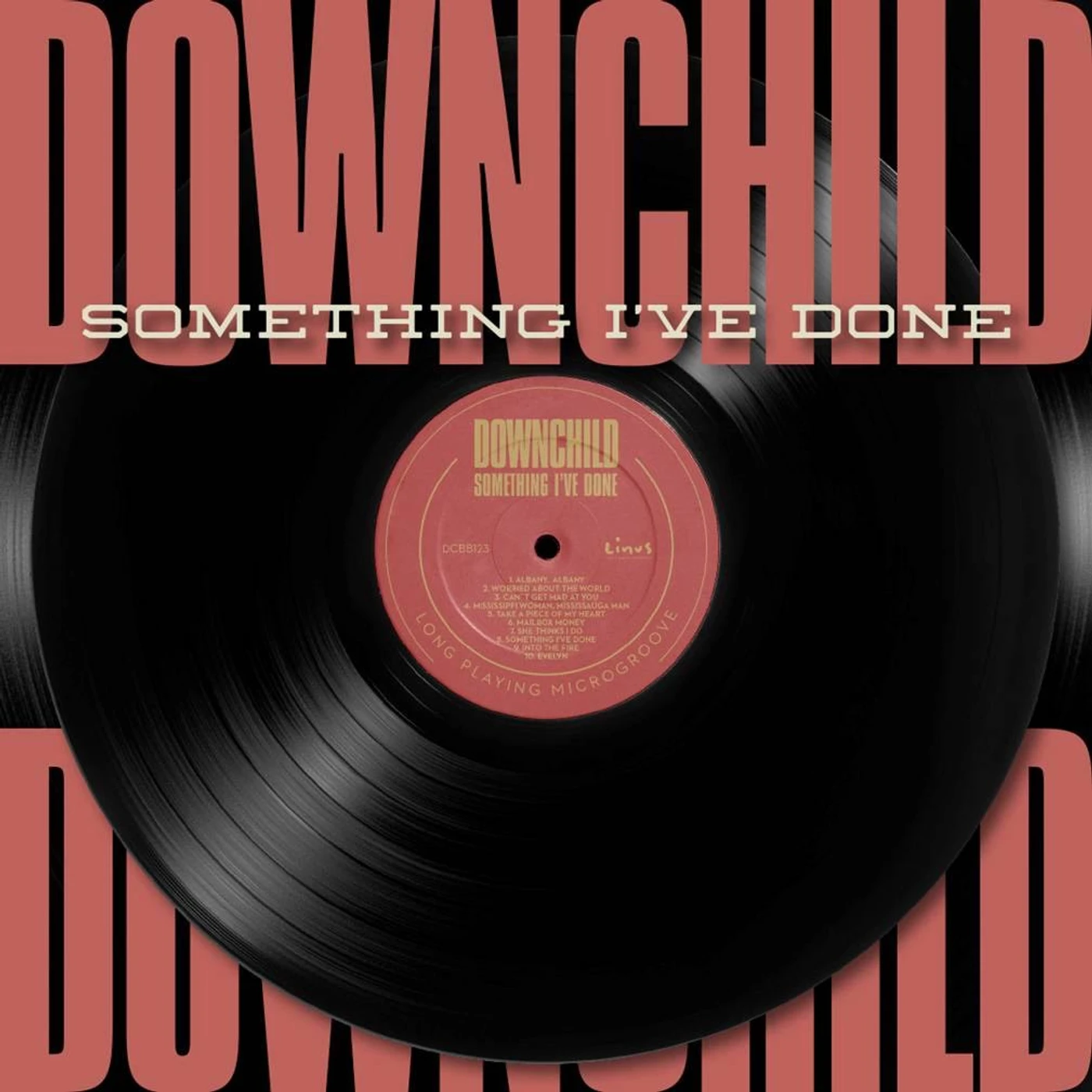 Downchild SOMETHING I'VE DONE CD