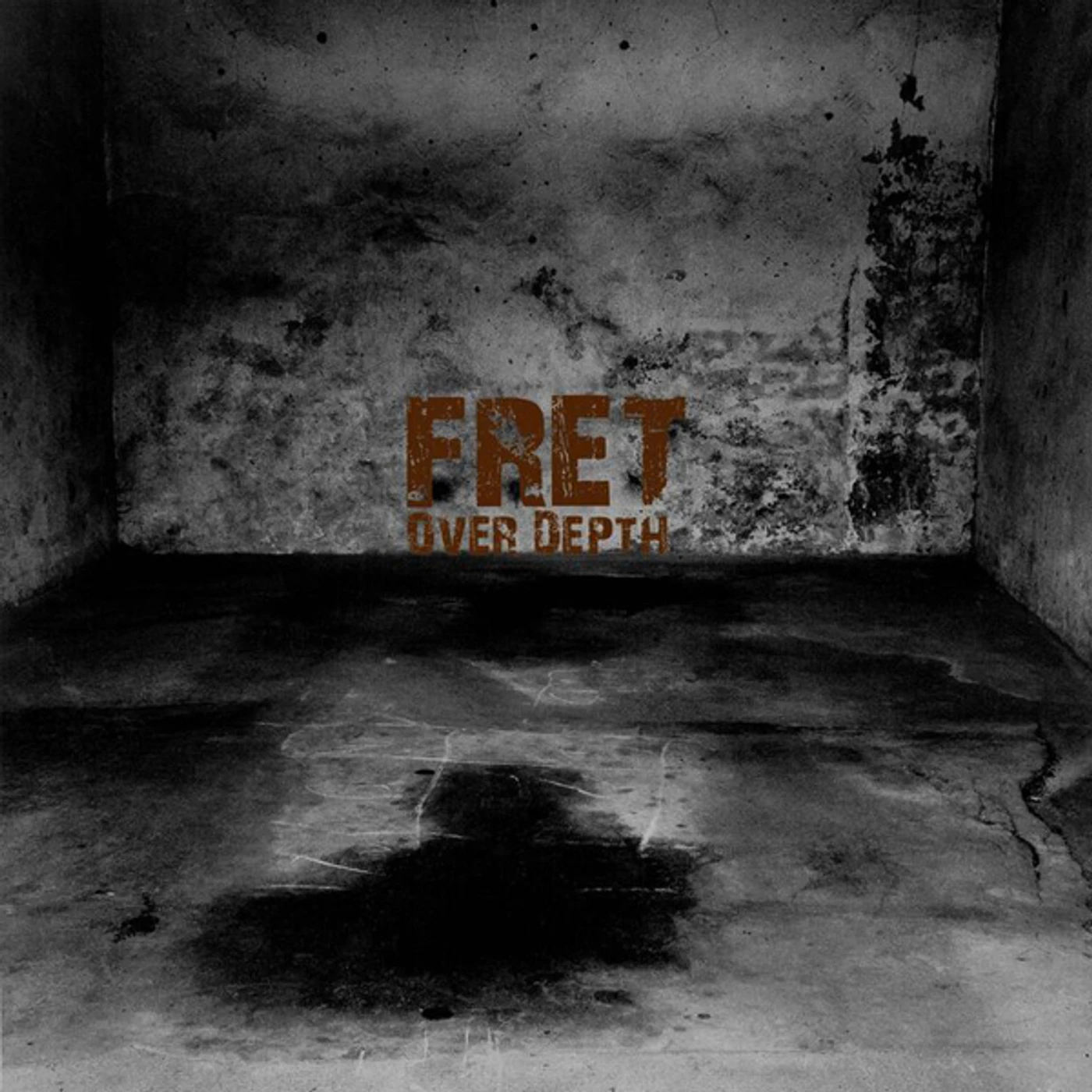 Fret Over Depth Vinyl Record